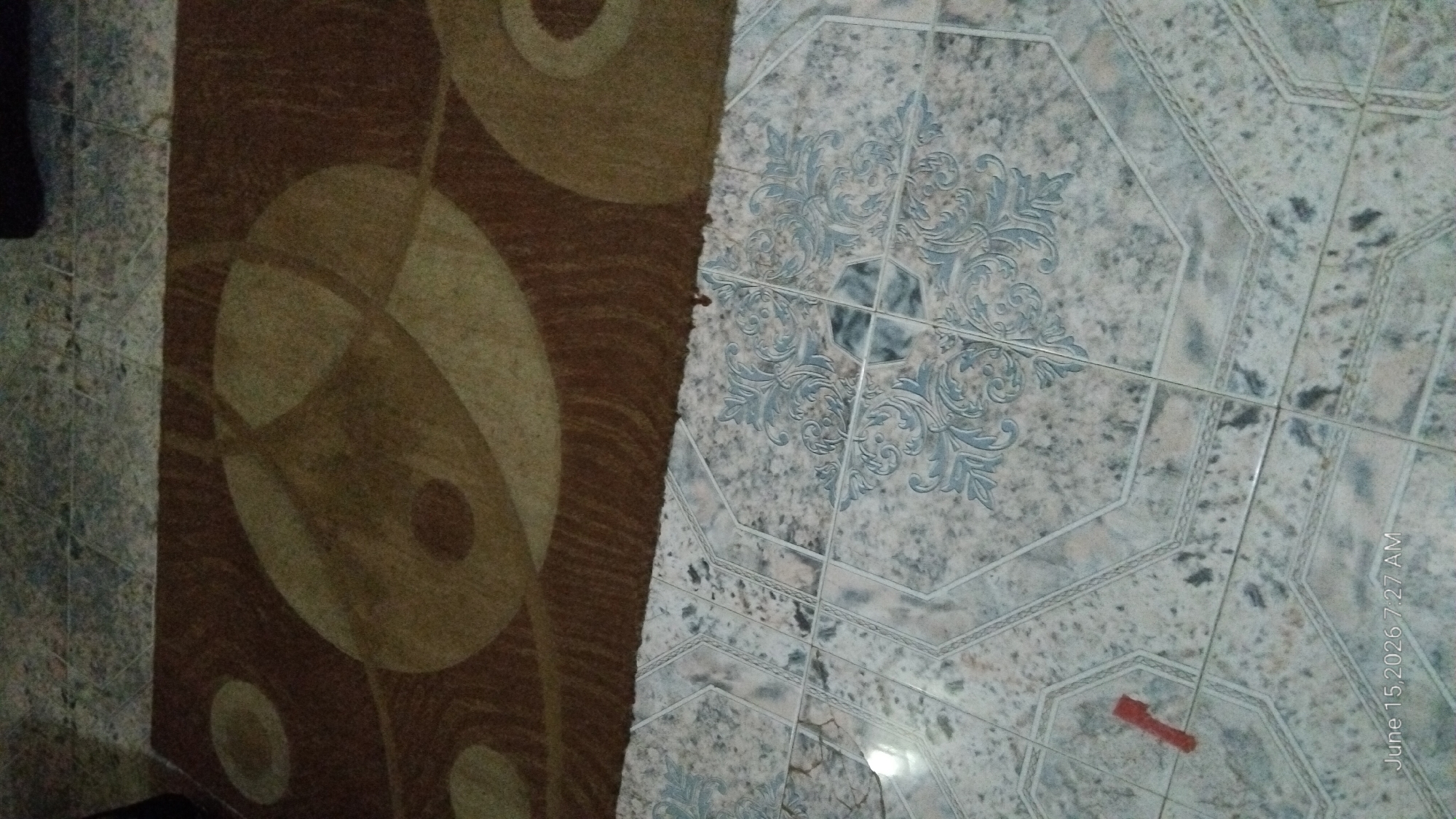 This is a photograph of a tiled floor. The floor is divided into two distinct sections. On the left side, there is a brown rug with a pattern of large, abstract circles in beige and brown. The rug appears to have a slightly textured surface. On the right side, the floor is covered in octagonal tiles with a marbled pattern in shades of gray, white, and black. These tiles are decorated with an ornate blue floral design in the center of some of the octagons. The tiles are laid out in a geometric pattern.
There is a small, bright red object that appears to be a piece of tape or a sticker on one of the tiled octagons in the lower right portion of the image.
In the bottom right corner of the image, white text reads "June 15, 2026 7:27 AM". This suggests the photograph was taken on June 15, 2026, at 7:27 AM.
The lighting in the image suggests it is daytime, and the reflections on the tiles indicate the presence of overhead lighting or natural light from a window. The scene appears to be indoors, likely in a residential or commercial space, given the flooring. There are no people visible in the image. The overall impression is of a clean, well-maintained floor.