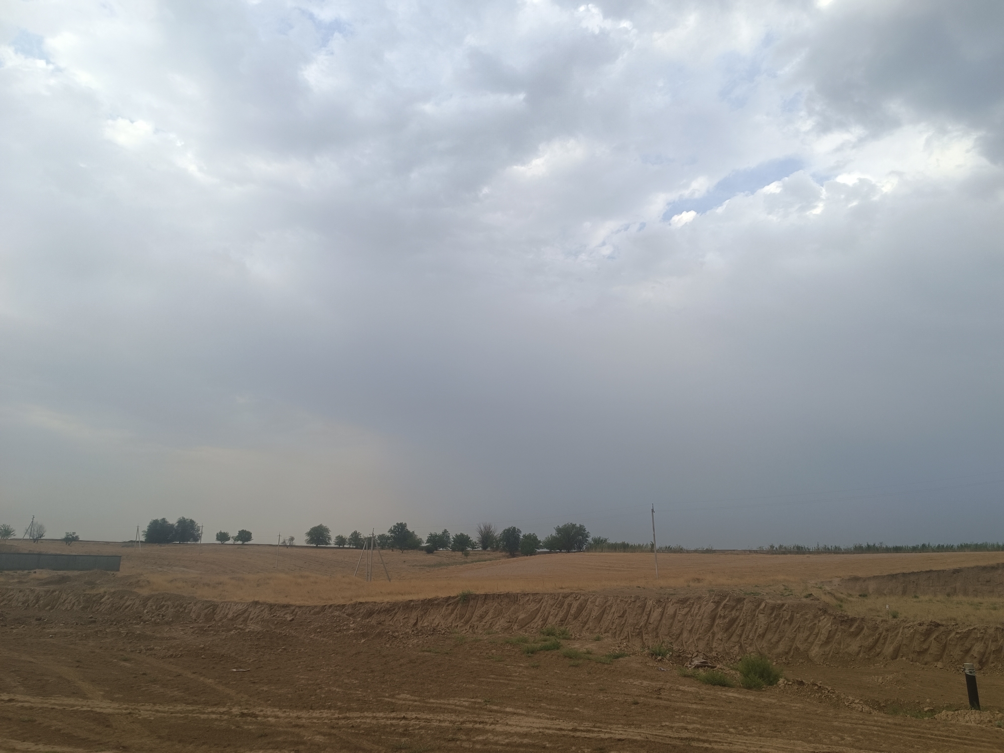 The image shows a rural landscape in Bagara, Uzbekistan. The scene is dominated by a vast expanse of dry, golden-brown fields, suggesting a harvest has recently occurred or the land is fallow. In the foreground, the earth appears to be disturbed, with visible tire tracks and uneven terrain, possibly indicating recent construction or agricultural activity. A sharp, eroded embankment runs diagonally across the middle ground, revealing layers of soil.
A line of trees and vegetation stretches across the horizon, forming a natural boundary between the fields and the sky. Some of these trees appear mature and leafy, while others are more sparse. Several utility poles with wires are scattered throughout the landscape, hinting at the presence of infrastructure. The sky is overcast with heavy, gray clouds, suggesting a possibility of rain or a storm, with a few patches of lighter sky visible. The overall atmosphere is muted and somewhat desolate, characteristic of a dry climate. There are no people or animals visible in the frame.