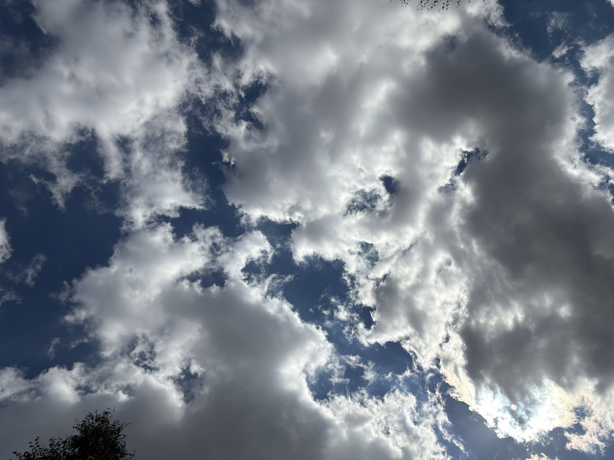 A low-angle shot captures a dramatic sky filled with a mixture of dark and light clouds against a deep blue backdrop. The sun peeks through a gap in the clouds on the left, casting a bright, ethereal glow and illuminating some of the cloud formations. In the upper left corner, the silhouette of tree branches is visible. The scene is a natural outdoor environment, likely in Imeni Vorovskogo, Russia, without any discernible human presence or man-made objects.