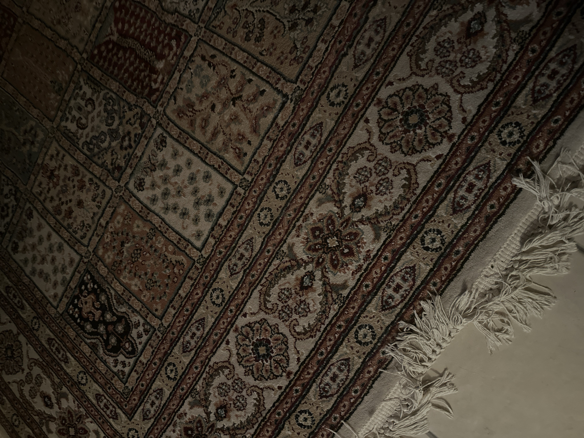 The image shows a close-up, oblique view of a traditional Persian rug with a complex geometric and floral pattern. The rug is predominantly beige, with intricate designs in shades of brown, red, and dark blue. The pattern is divided into rectangular blocks, each containing a unique motif. Along the bottom edge of the rug, white fringe is visible. The rug is situated indoors, on a light-colored, flat surface, possibly a floor or a low table. The lighting suggests it is daytime, but the shadows indicate it may be indoors with limited natural light. There is no indication of the rug's location within the city of Kaipy, Russia.