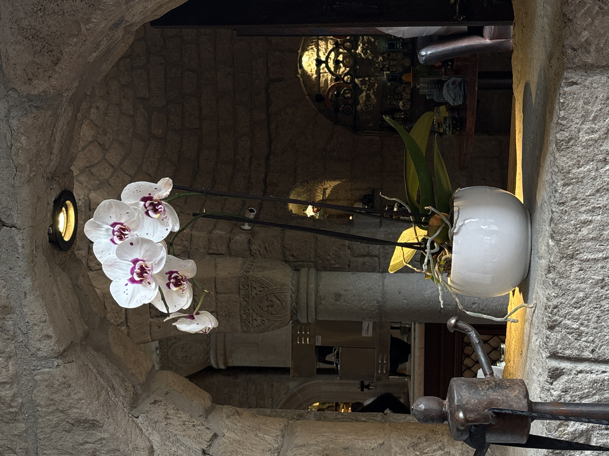 A white orchid in a white pot sits on a metal stand in a stone archway in Mexico City, Mexico. The orchid has several white flowers with purple centers. The pot is round and glossy. The metal stand is rusty and ornate. The archway is made of rough-hewn stones. A light is embedded in the stone to the left of the flower. In the background is another stone archway, with a decorative metal object visible through the opening.