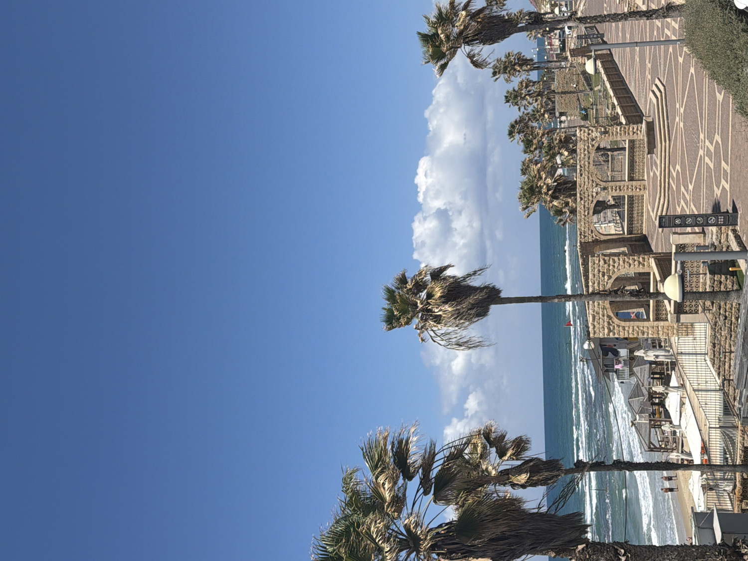 This vibrant photograph captures a scenic coastal view in Tel-Aviv, Israel, on a clear, sunny day. A brilliant blue sky, dotted with fluffy white clouds, stretches above a shimmering turquoise sea where white-capped waves gently break onto a sandy beach.
In the foreground and extending along the coast, numerous tall palm trees with distinctive, wind-swept fronds line a wide, ornate promenade. The promenade is paved with light-colored tiles featuring complex geometric patterns. Adjacent to the promenade are low-rise, light-stone buildings with arches and balconies, possibly housing cafes, restaurants, or other beachside establishments. Steps and railings lead down from the promenade towards the beach, where small figures of people can be seen enjoying the sun and sea.
The bright daylight and clear conditions suggest it is midday or early afternoon. A gentle breeze is evident from the movement of the palm fronds. Along the promenade, a multi-panel signpost displays several prohibition symbols: "no littering" (person in bin), "no smoking" (crossed-out cigarette), "no dogs" (crossed-out dog), "no bicycles" (crossed-out bicycle), "no loud music" (crossed-out speaker), and "no alcohol" (crossed-out bottle/glass). The scene conveys a lively yet serene atmosphere typical of a popular Mediterranean beach resort.