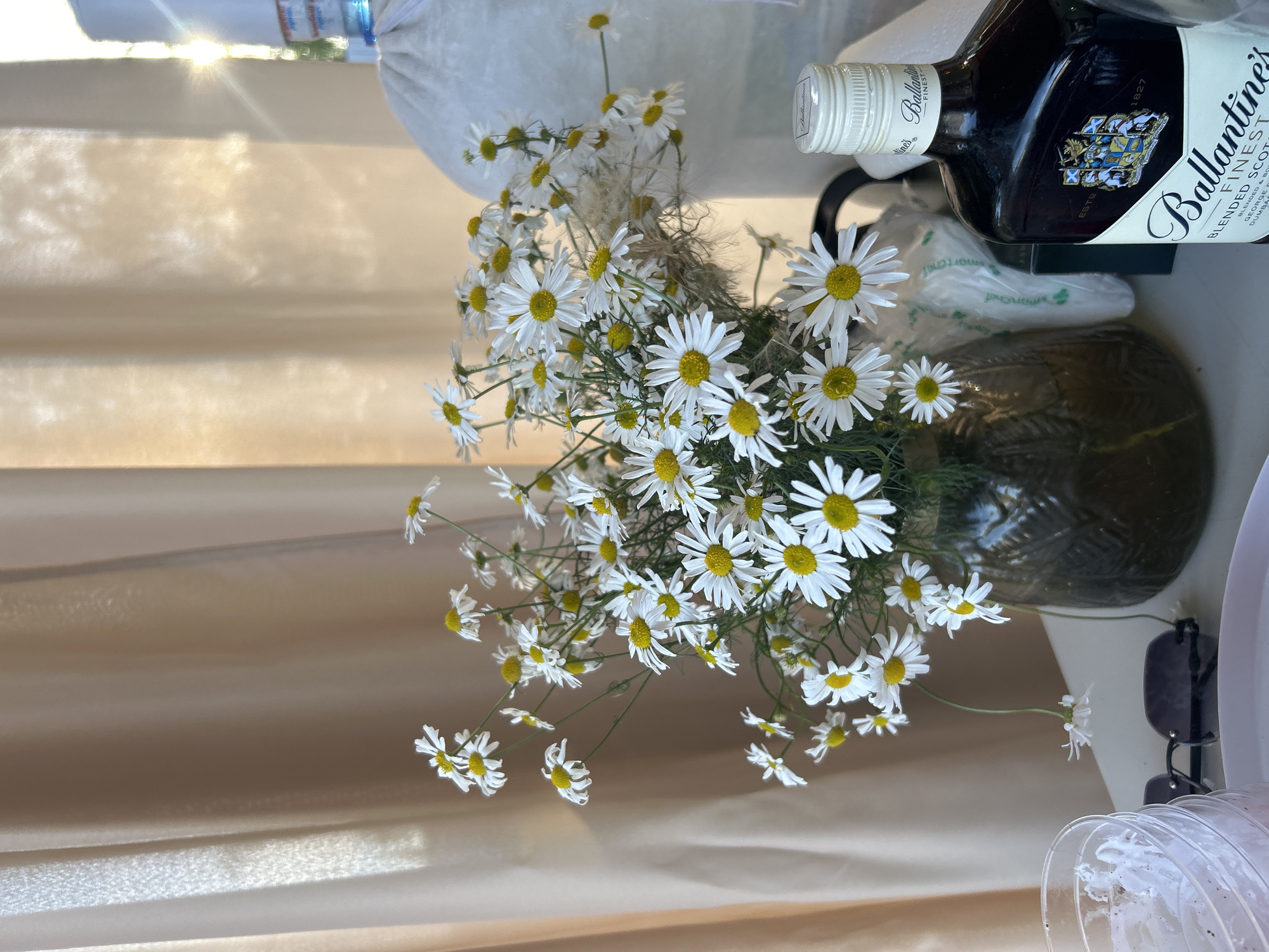 A still life image features a bouquet of daisies in a dark, textured vase. The daisies have white petals and yellow centers. Behind the flowers, a light beige curtain hangs, with sunlight streaming through it, creating soft shadows and highlights. To the right of the flowers, a bottle of Ballantine's Finest Blended Scotch Whisky is visible, its label showing the brand name prominently. Further to the right, a white object, possibly a bag or wrap, is partially visible. In the foreground, on the left, a glass with white contents and a white plate are present. A pair of dark-rimmed sunglasses lies on the surface between the glass and the vase. The scene appears to be set outdoors or near an open window, given the natural light. The location is identified as Pribrezhnyi, Russia.