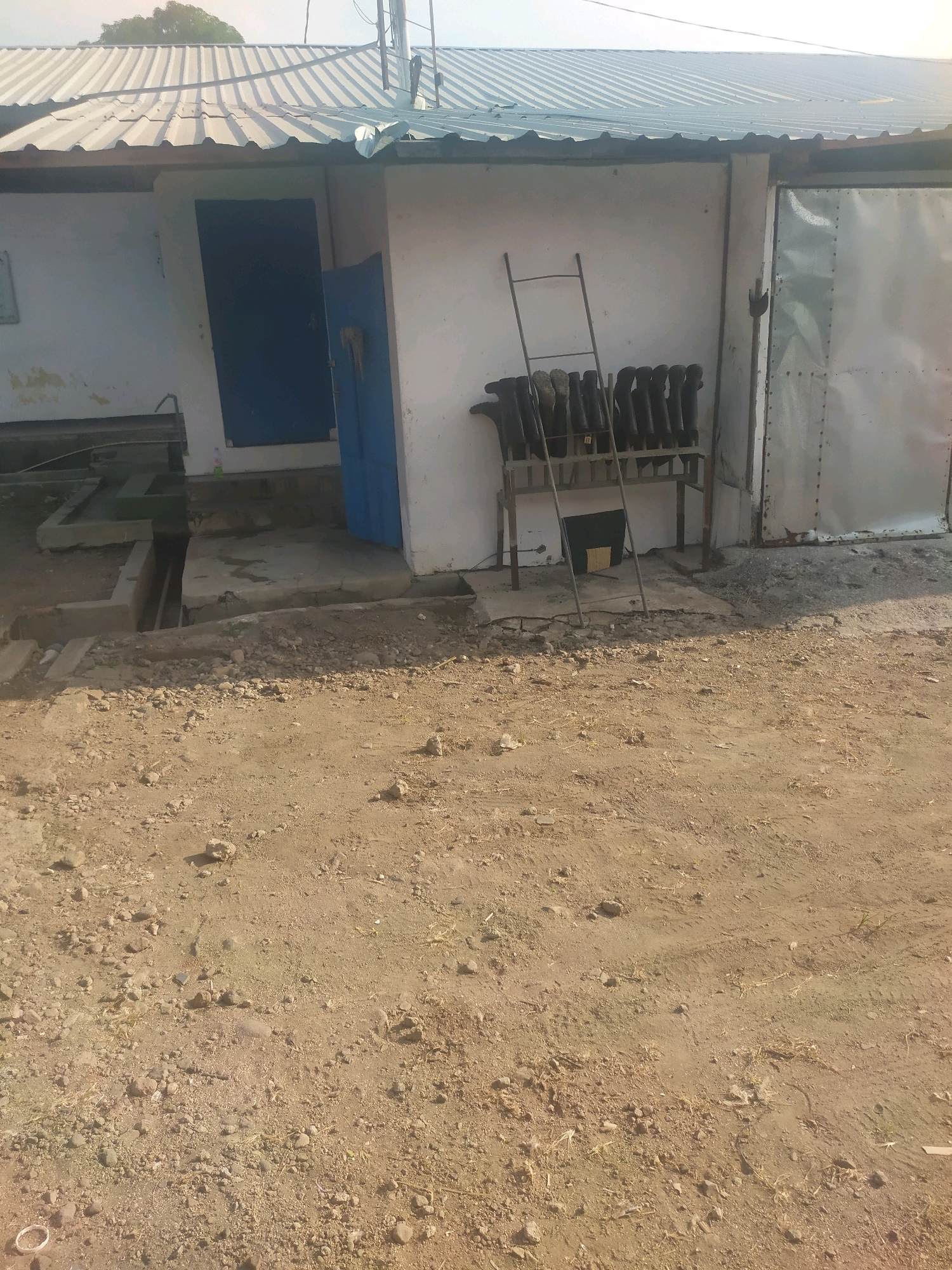The image depicts an outdoor scene at what appears to be a commercial or industrial facility in Winong, Indonesia. In the foreground, a dirt and gravel ground is visible, with some scattered debris. Behind this, a building with a corrugated metal roof and white walls is present. To the left of the building, there is a blue door, partially open, revealing a dark interior. To the right of the door, a rack holds a row of black boots. Adjacent to the boots, a metal ladder stands against the wall. Further to the right, a large, silver metal door or gate is visible. The overall environment suggests a practical, working space, possibly related to agriculture or industry, given the presence of boots and the rugged terrain. The lighting indicates it is daytime, with sunlight casting shadows. There are no people visible in the image.