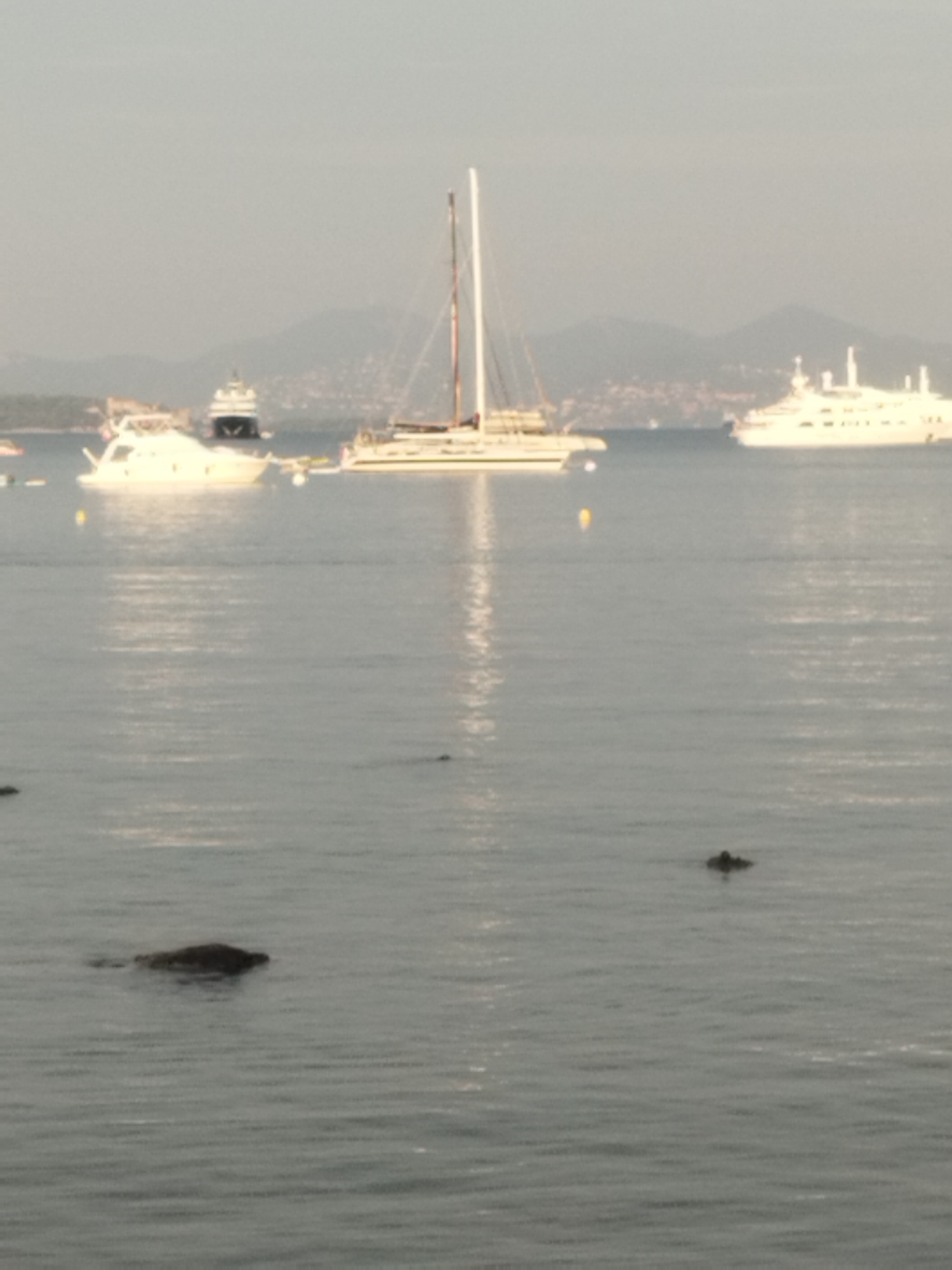 The image shows a view of boats docked in the water off the coast of Antibes, France, with mountains in the background. A large white sailboat with two masts is prominent in the center of the frame. To its left, a smaller white yacht is visible. Further in the distance, a large white cruise ship or ferry is anchored, and another large white yacht is on the right. The water is calm, with gentle ripples reflecting the overcast sky. There are no people visible in the image. The overall scene is serene and depicts a typical coastal scene in a Mediterranean location.