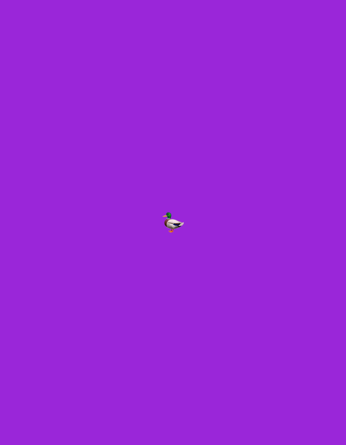 The image displays a simplified, emoji-style duck positioned centrally against a solid, vibrant purple background. The duck features a green head, a white band around its neck, a brown chest, a white body, and orange feet and beak. Its posture suggests it is either walking or standing. There are no other subjects, objects, or environmental details visible in the scene. The background is uniformly colored, providing no information about time of day, weather, or specific location cues such as Krasnoyar, Russia. No text is present in the image.