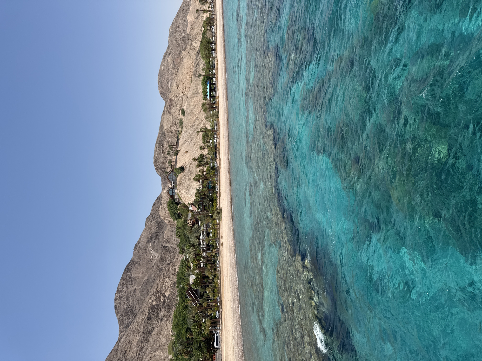 This vertical, eye-level, medium shot captures a serene coastal scene in Eilat, Israel. The foreground is dominated by the crystal-clear turquoise waters of the Red Sea, revealing submerged coral reefs and the gentle rippling surface. A small white wave breaks on the left side of the frame, hinting at the shallow depth near the shore.

Beyond the water, a sandy beach stretches horizontally across the mid-ground. Behind the beach, a line of lush green trees, including palm trees, provides a verdant contrast to the arid landscape. Nestled within the greenery are several buildings, some appearing to be resorts or hotels with their characteristic sloped roofs and light-colored facades. A white van is parked on the left side of the beach, along with several other vehicles.

The background is characterized by rugged, barren mountains with a light brown hue, typical of the desert terrain surrounding Eilat. The sky above is a clear, unbroken expanse of pale blue. The overall impression is one of tranquility and natural beauty, highlighting Eilat's appeal as a resort destination.