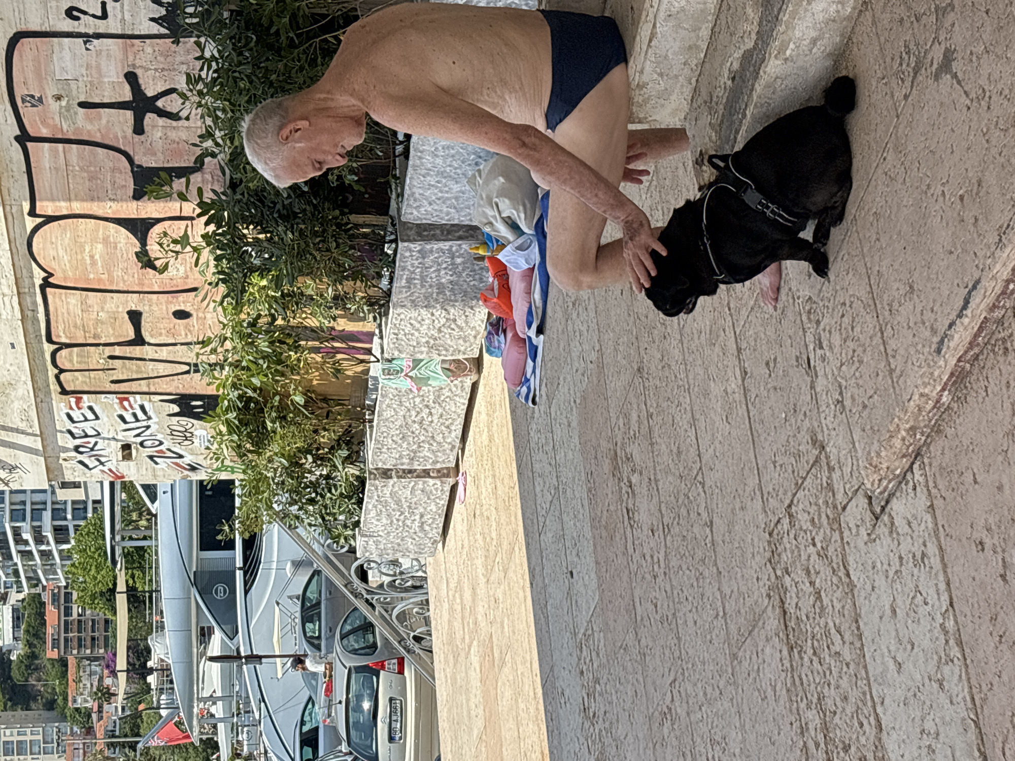 An older Caucasian man with short, graying hair and fair skin, wearing navy blue swim briefs, sits on a concrete step in Budva, Montenegro. He is facing right, looking down and to his left, with his right hand resting on the head of a black pug. The pug, wearing a black harness, sits on the stone pavement in front of the man, looking to its left. Behind the man, a wall with graffiti featuring large, stylized letters in pink and black is visible. A dense green shrubbery grows in front of the wall. In the background, several white yachts are docked in a harbor, with buildings and a hillside visible beyond. The pavement is made of large, light-colored stone slabs. The overall lighting suggests a sunny day.