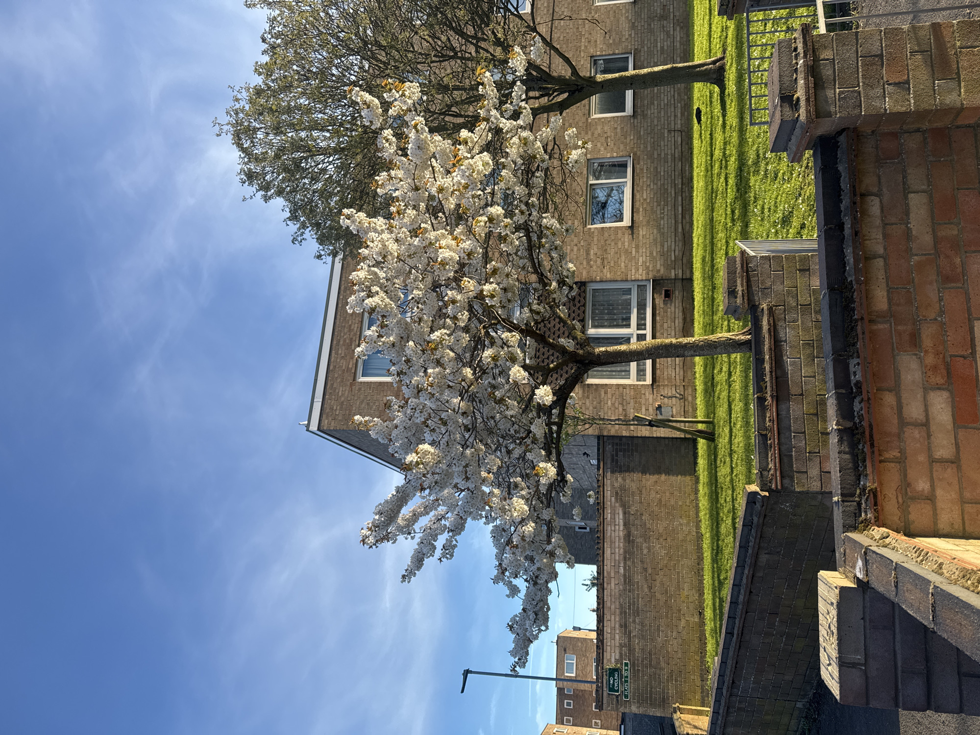 The image depicts a residential area in Gorleston-on-Sea, United Kingdom on a clear day with a blue sky. The view is centered on a building featuring brick facades and evenly spaced windows. The lawn is lush green, punctuated by trees in full bloom. A brick wall lines the foreground. Street signage visible in the distance may indicate location and regulations. The scene is still and absent of observable human activity.