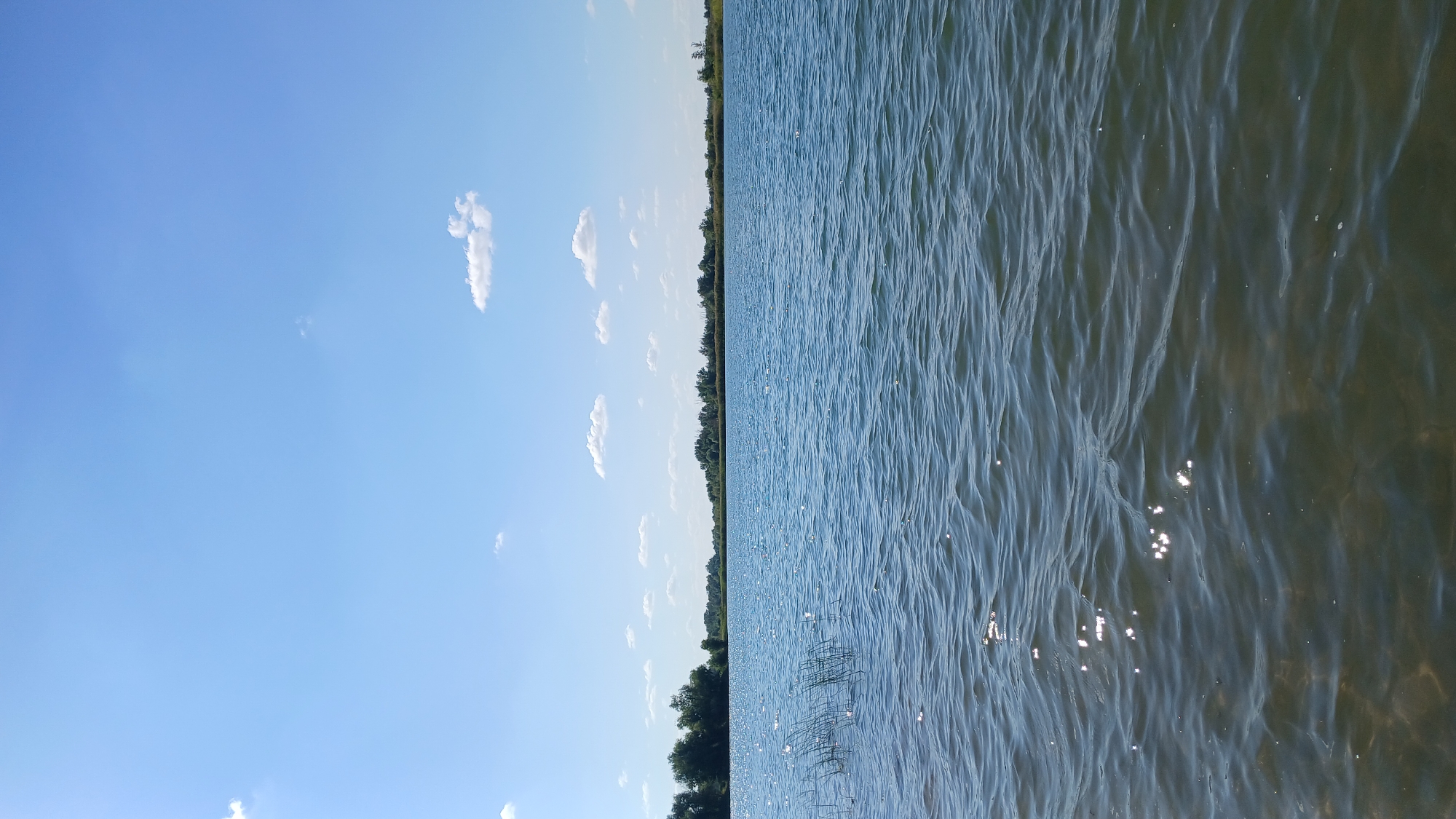 The image shows a wide, calm body of water, likely a lake or reservoir, under a clear blue sky with scattered white clouds. The water's surface is rippled, reflecting the sunlight and creating bright spots. In the foreground, reeds or tall grass can be seen emerging from the water on the left side. The far bank of the water is lined with a dense strip of trees, forming a green horizon. The scene appears to be a natural landscape in Jelaevo, Kazakhstan, likely during daylight hours on a sunny day. There are no people or visible man-made structures in the image.