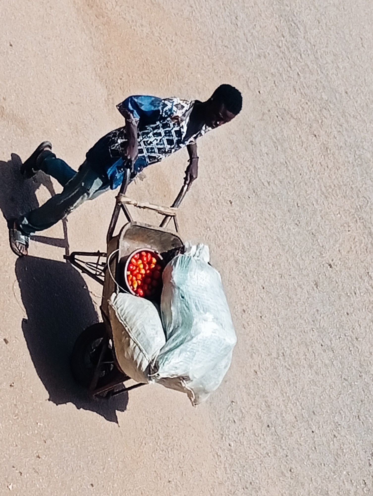 In Bukuru, Nigeria, a person is captured from a high angle, pushing a wheelbarrow loaded with goods. The individual, wearing a patterned blue and white shirt and dark trousers, is actively engaged in propelling the wheelbarrow forward. The wheelbarrow contains a red bowl filled with what appear to be tomatoes, a light blue sack, and a cream-colored bag. The scene unfolds on a dusty, light brown surface, suggesting an outdoor setting within the city. The lighting indicates a sunny day, casting distinct shadows from the person and the wheelbarrow onto the ground.