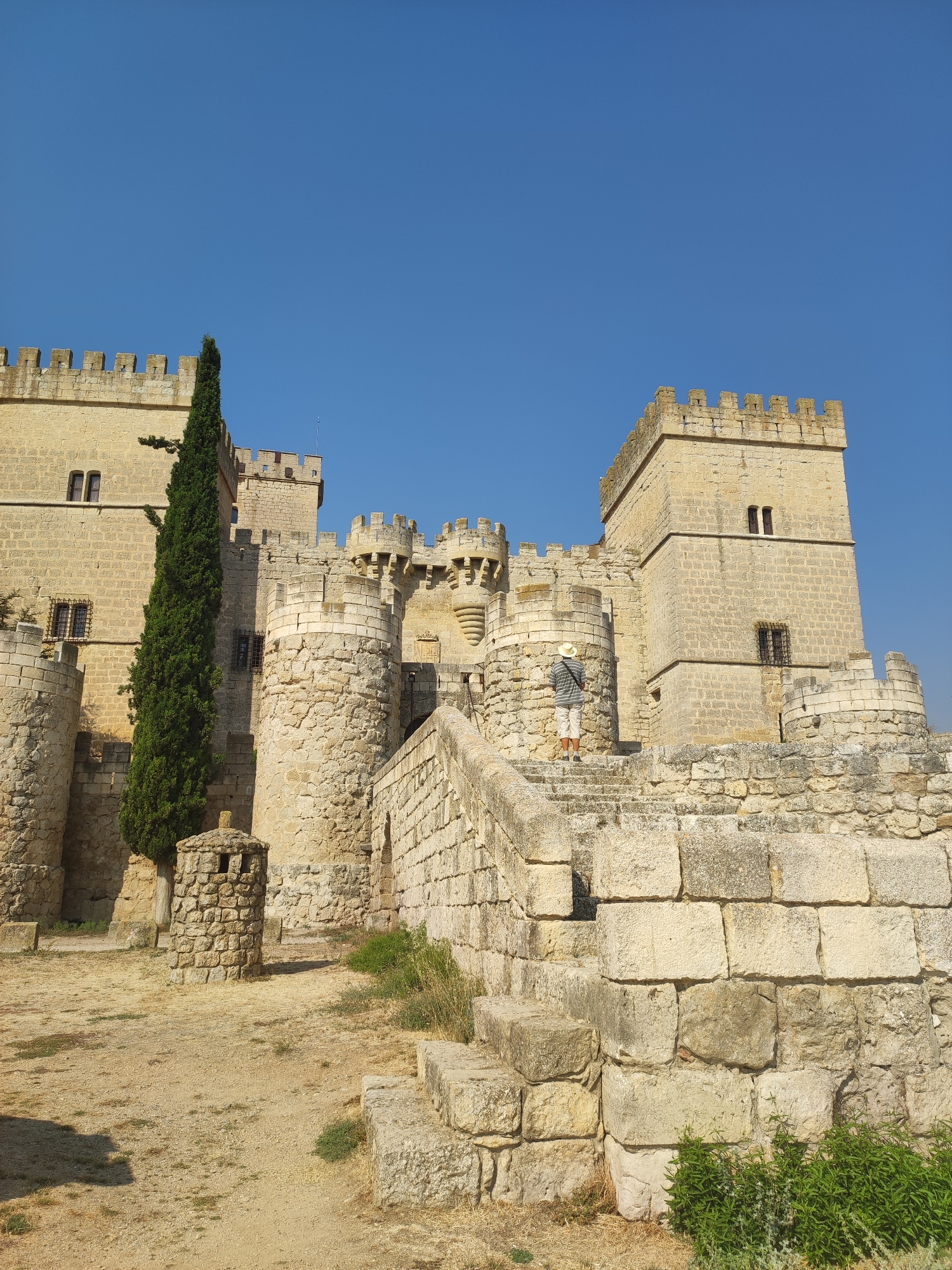 The image captures a low-angle view of the Castillo de Ampudia, a medieval castle located in the municipality of Ampudia, Spain. The castle is constructed from light-colored stone blocks and features crenellated battlements, towers, and turrets. A tall, slender evergreen tree stands prominently to the left of the central structure. In the foreground, a person wearing a straw hat and striped shirt is walking up a wide, stone staircase leading towards the castle entrance. The ground is covered in dry earth and scattered stones, with some sparse vegetation growing around the base of the walls and stairs. The sky above is a clear, vibrant blue. The scene is illuminated by bright daylight, casting shadows across the stone surfaces.