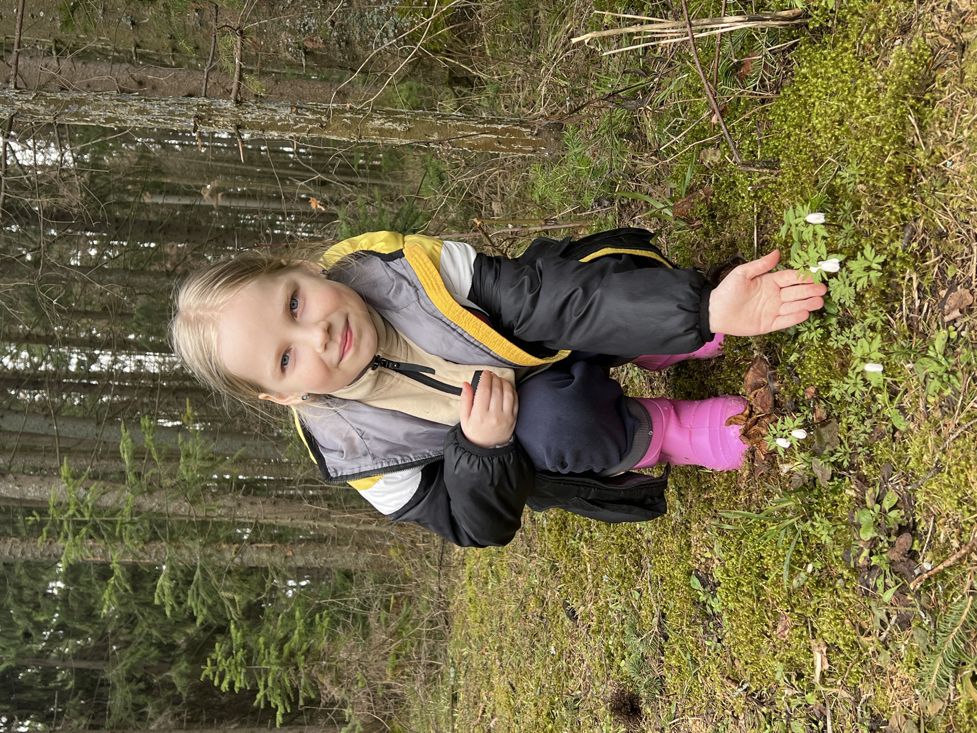 A young Caucasian girl with blonde hair, blue eyes, and fair skin is crouched in a forest environment. She wears a black and gray winter jacket with yellow accents, navy blue pants, and bright pink rubber boots. The girl is smiling slightly and looking directly at the camera. She is extending one hand toward a small patch of white flowers growing in a bed of green moss and other ground vegetation. The forest background features tall evergreen trees. The photograph appears to be taken in natural daylight. The specific location is Protasy, Russia.