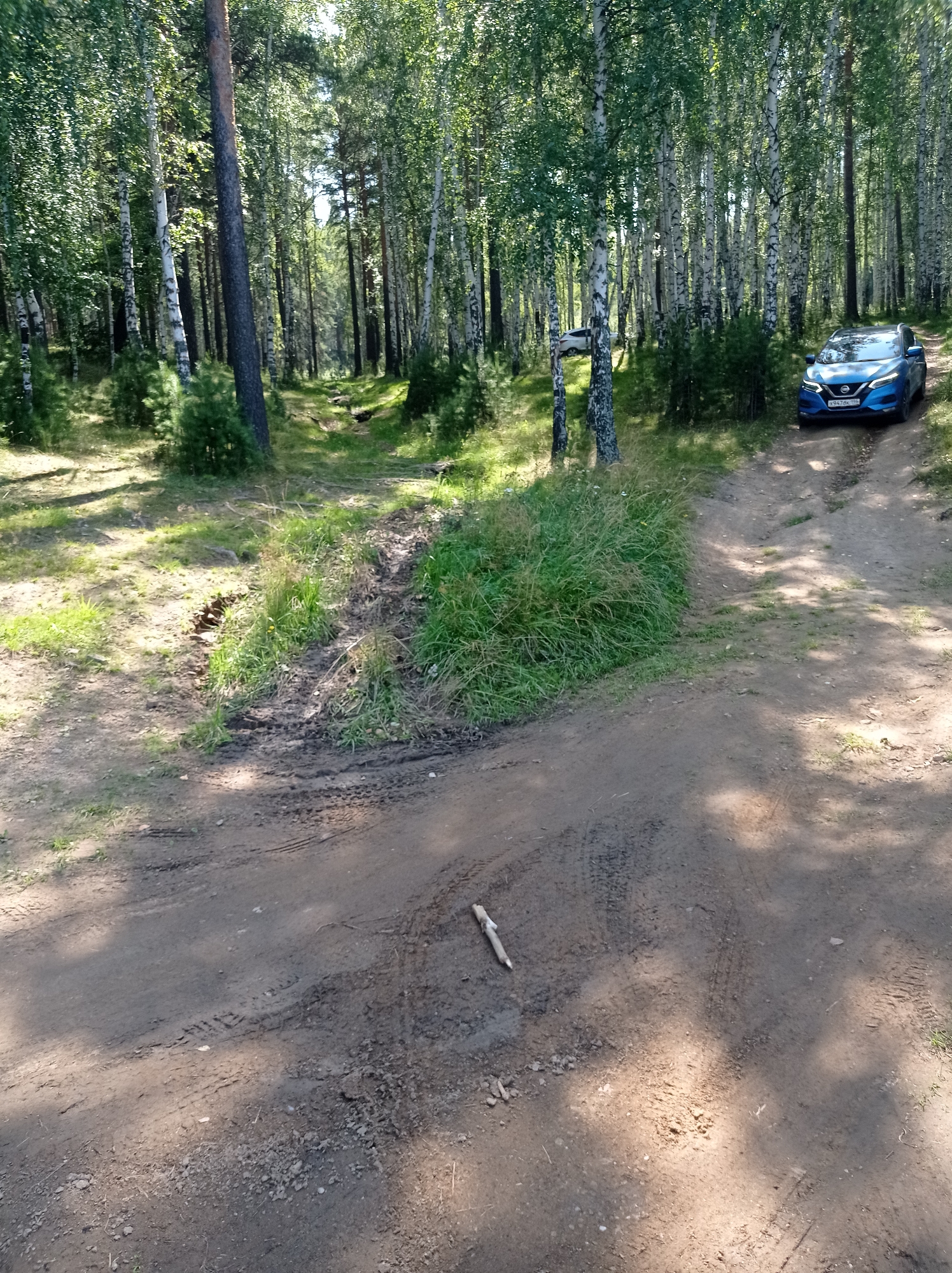 The image depicts a dirt road winding through a forest in Degtyarsk, Russia, likely during daylight hours given the illumination. The road surface shows clear tire tracks, indicating recent vehicle activity. A blue sedan is parked on the right side of the road, facing uphill. The surrounding environment is characterized by a dense deciduous and coniferous forest, with birch trees being prominent. Sunlight filters through the leaves, creating dappled shadows on the ground. There is a small, light-colored stick lying on the road in the foreground. The terrain appears uneven with some grassy areas and patches of mud, suggesting it may be a less-maintained or off-road path. No people are visible in the image.