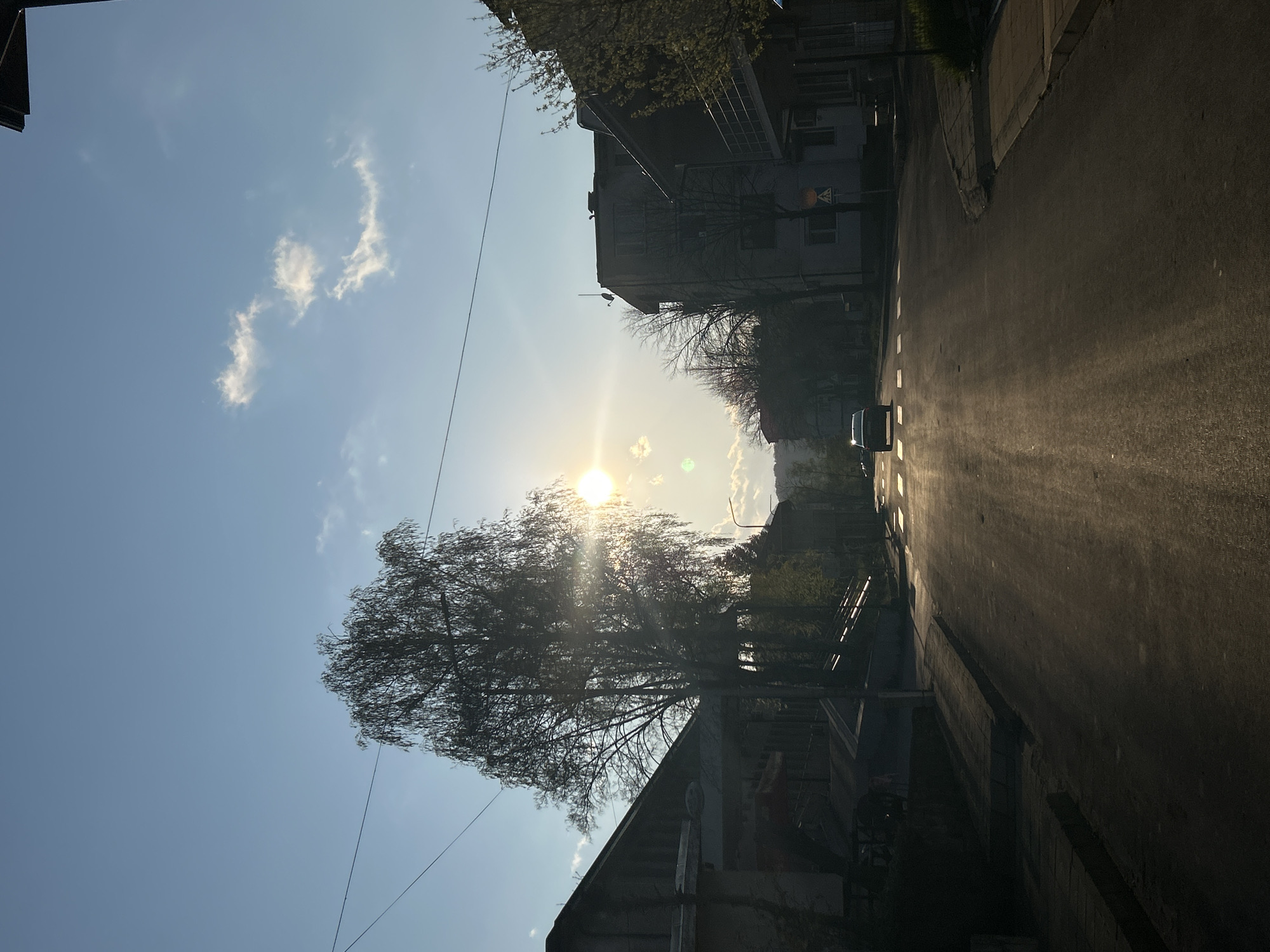 The image depicts a street scene in Zlatograd, Bulgaria. The road leads into the distance, with buildings on either side. A tree with bare branches partially obscures the bright sun. A car is visible on the road. The sky is blue with a few scattered clouds. The lighting suggests it is either early morning or late afternoon. There are power lines above the road.
