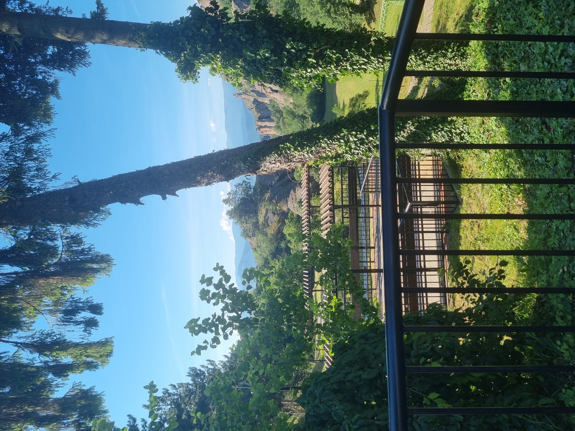 This image captures a scenic view from an elevated vantage point, likely a balcony or terrace, looking out over a verdant landscape towards rugged rock formations and distant mountains. In the foreground, a black metal railing frames the scene. Beyond the railing, a wooden structure, possibly an outdoor seating area or pavilion with a slatted roof, is visible, with benches underneath. Green grass and various trees and foliage dominate the middle ground. Two prominent trees, one with ivy growing up its trunk, stand on either side of the view. In the distance, dramatic, weathered rock formations rise from the landscape, indicative of the Belogradchik Rocks, a well-known geological formation near the town of Belogradchik, Bulgaria. The sky is a clear, bright blue with a few wispy clouds. The overall impression is one of natural beauty and tranquility.