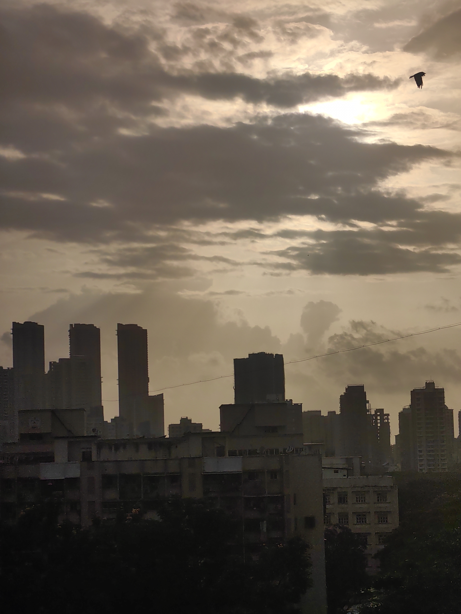 A silhouette of a bird in flight is captured against a cloudy sky with the sun peeking through. Below, a cityscape of tall buildings, including skyscrapers and lower-rise structures, dominates the view, indicative of a dense urban environment like Mumbai, India. The scene appears to be captured during twilight or on an overcast day, given the muted lighting and the presence of dark clouds. The foreground is obscured by dark foliage, suggesting a vantage point from a higher level looking down over a city.