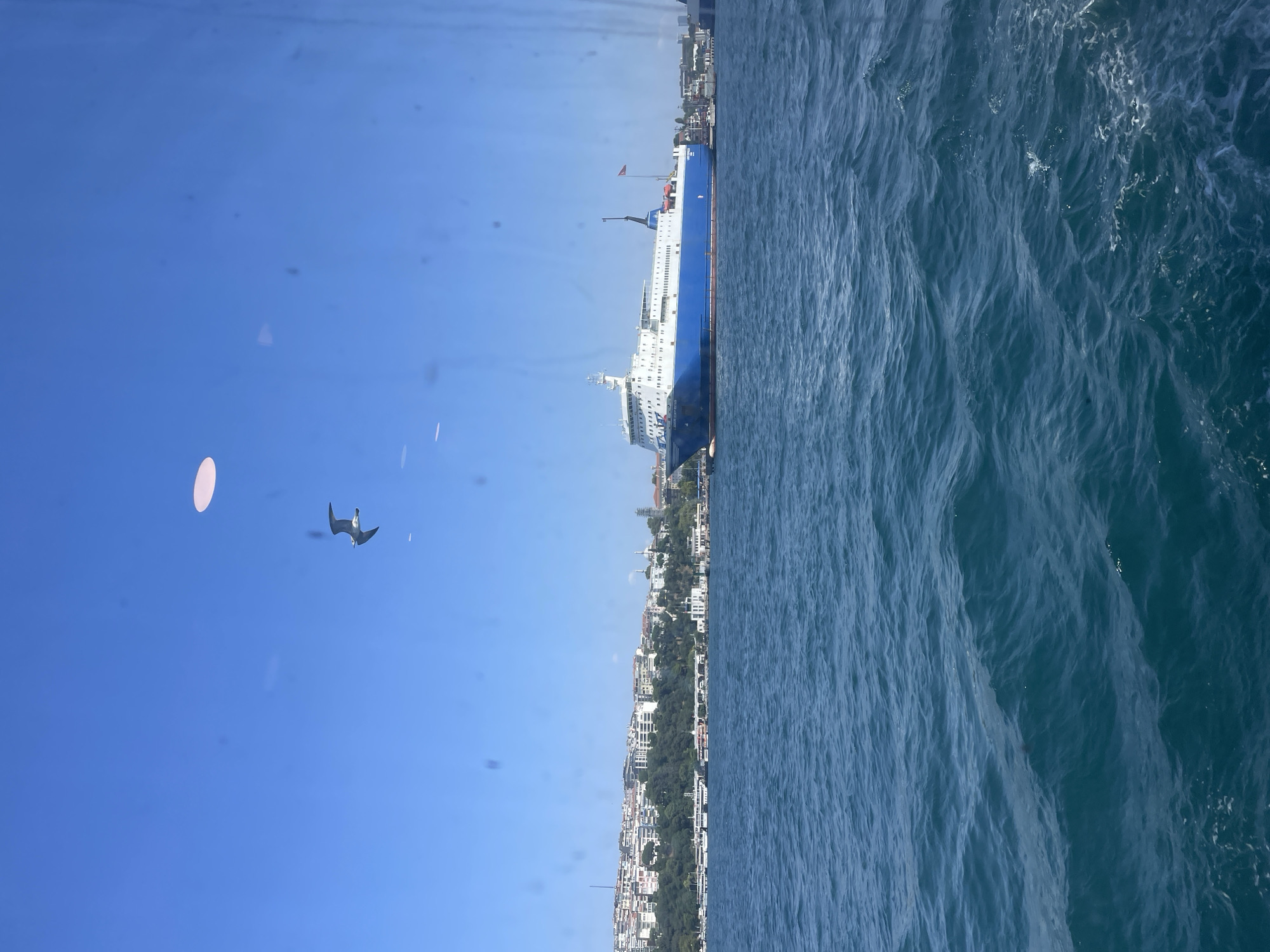 This image captures a bright, sunny day with a clear blue sky over a body of water, likely the Bosphorus Strait in Üsküdar, Turkey. In the foreground, the deep blue water is rippled, indicating gentle movement. A large, blue and white ferryboat is docked in the middle ground, its hull a prominent feature against the sea and the distant cityscape. Behind the ferry, a hilly coastline is visible, dotted with buildings that appear to be part of Üsküdar. Green trees are interspersed with the urban structures, climbing up the hills. Two seagulls are in flight against the sky, adding a touch of dynamism to the scene. The image also shows a few circular smudges on the glass through which the photo was taken, possibly reflections or smudges on a window.