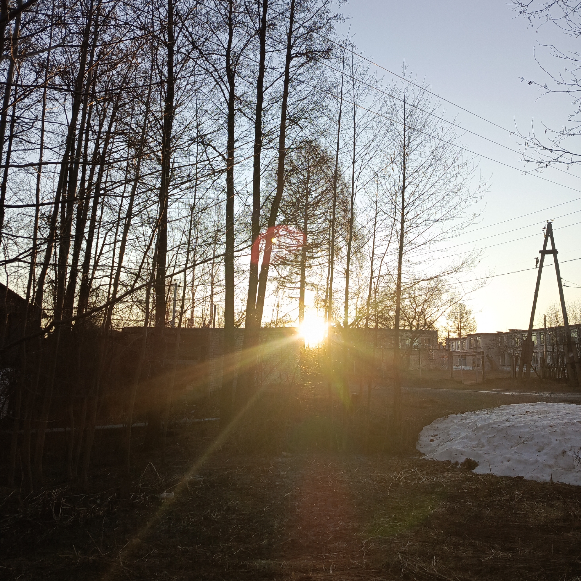 The photograph captures a landscape scene in Chaikovsky, Russia. In the foreground, there is a barren area of ground, littered with dry grass and fallen branches. A patch of melting snow is visible on the right side of the frame. Behind this area, a dense group of slender, leafless trees rises, their branches creating a network of lines against the sky. The sun is positioned directly behind the trees, its light creating a bright glare and radiating rays across the scene. Further back, residential buildings are visible, partially obscured by the trees and light. A utility pole and power lines are situated to the right of the frame. The sky is pale blue, indicating either dawn or dusk.
