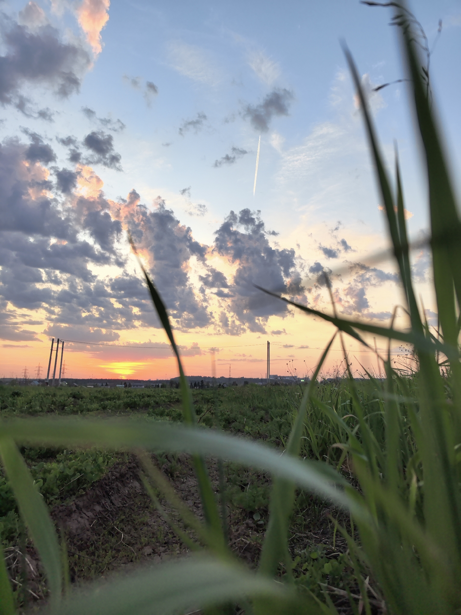 The image shows a view from ground level through tall grass towards a sunset. The sky is filled with clouds tinged with pink and orange, with a contrail visible in the upper portion. A strip of orange light marks the horizon, likely indicating the setting sun. In the distance, utility poles and structures can be seen, hinting at a nearby settlement. The foreground is dominated by blades of grass, some in sharp focus, others blurred. The location is Фролы, Russia, as specified in the prompt.