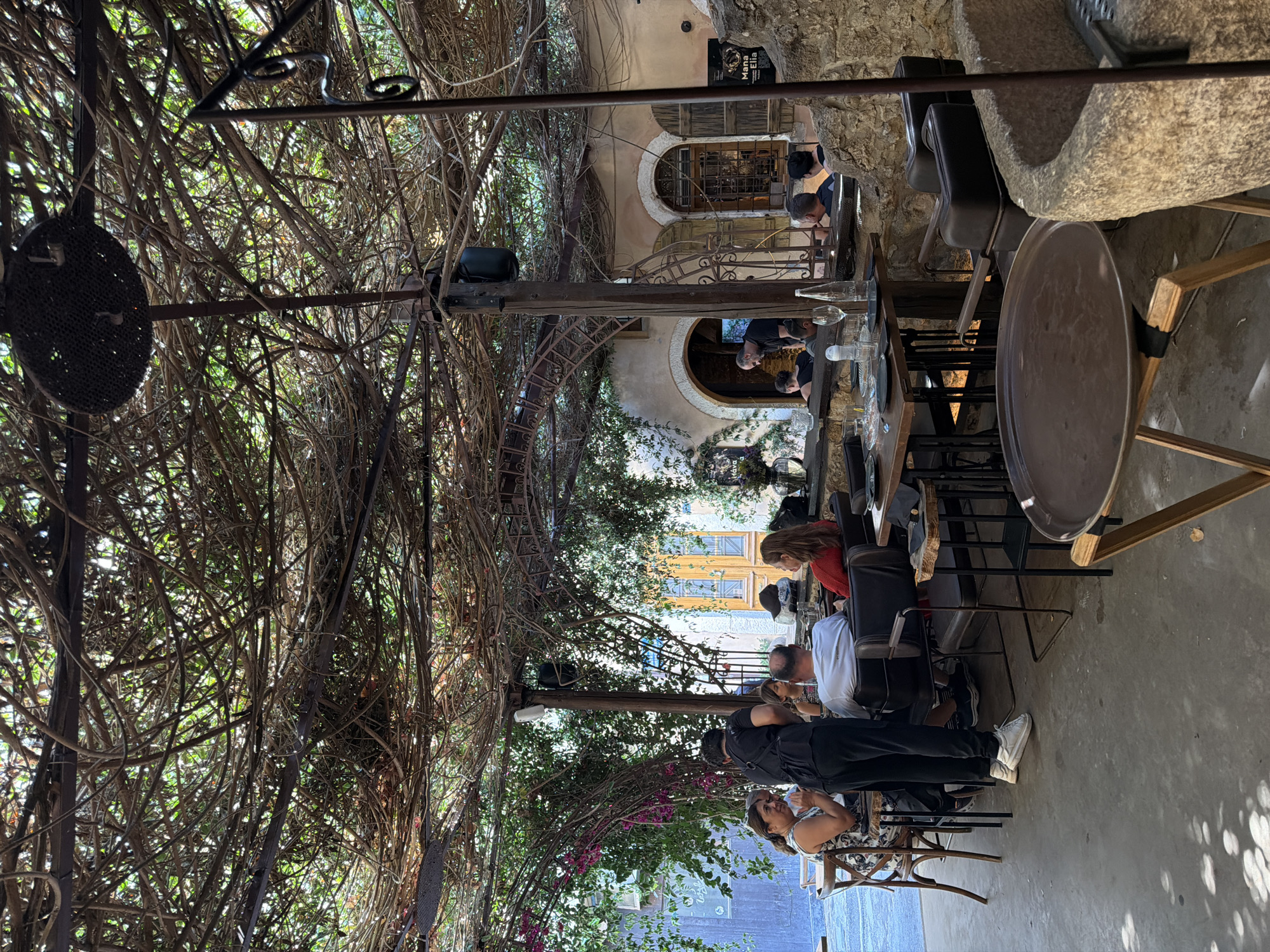 This image depicts an outdoor seating area of a restaurant in Heraklion Municipal Unit, Greece, possibly in the city of Heraklion itself. The area is covered by a dense canopy of intertwined branches and vines, providing shade. Several tables are set with diners engaged in conversation or looking at menus. A waiter in black attire is interacting with a table of patrons. The architecture visible in the background suggests an older building with arched doorways and windows. The atmosphere appears relaxed and inviting, with some floral accents adding to the ambiance. The ground is paved with concrete, and the sunlight filters through the leafy canopy, creating dappled shadows.