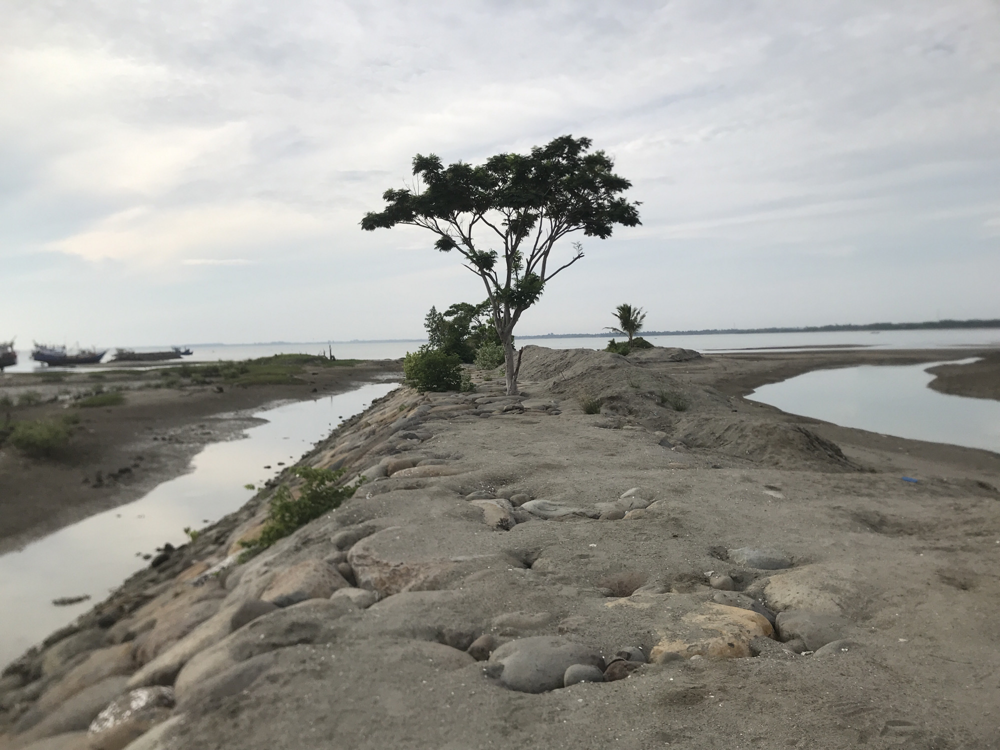 The image depicts a coastal scene, likely the northern coast of Lhokseumawe, Indonesia, characterized by a calm body of water, possibly a bay or estuary, with several boats visible in the distance on the left. A narrow, elevated strip of land, constructed with rocks and sand, runs through the center of the frame, providing a pathway. A prominent, medium-sized tree with dense foliage stands atop this elevated land, with a few smaller trees and shrubs also present. The sky is overcast with a diffused light, suggesting it may be early morning or late afternoon. The ground is a mixture of sand and pebbles, with a channel of water running alongside the rocky embankment on the left. The overall impression is one of a natural yet somewhat developed coastal environment.