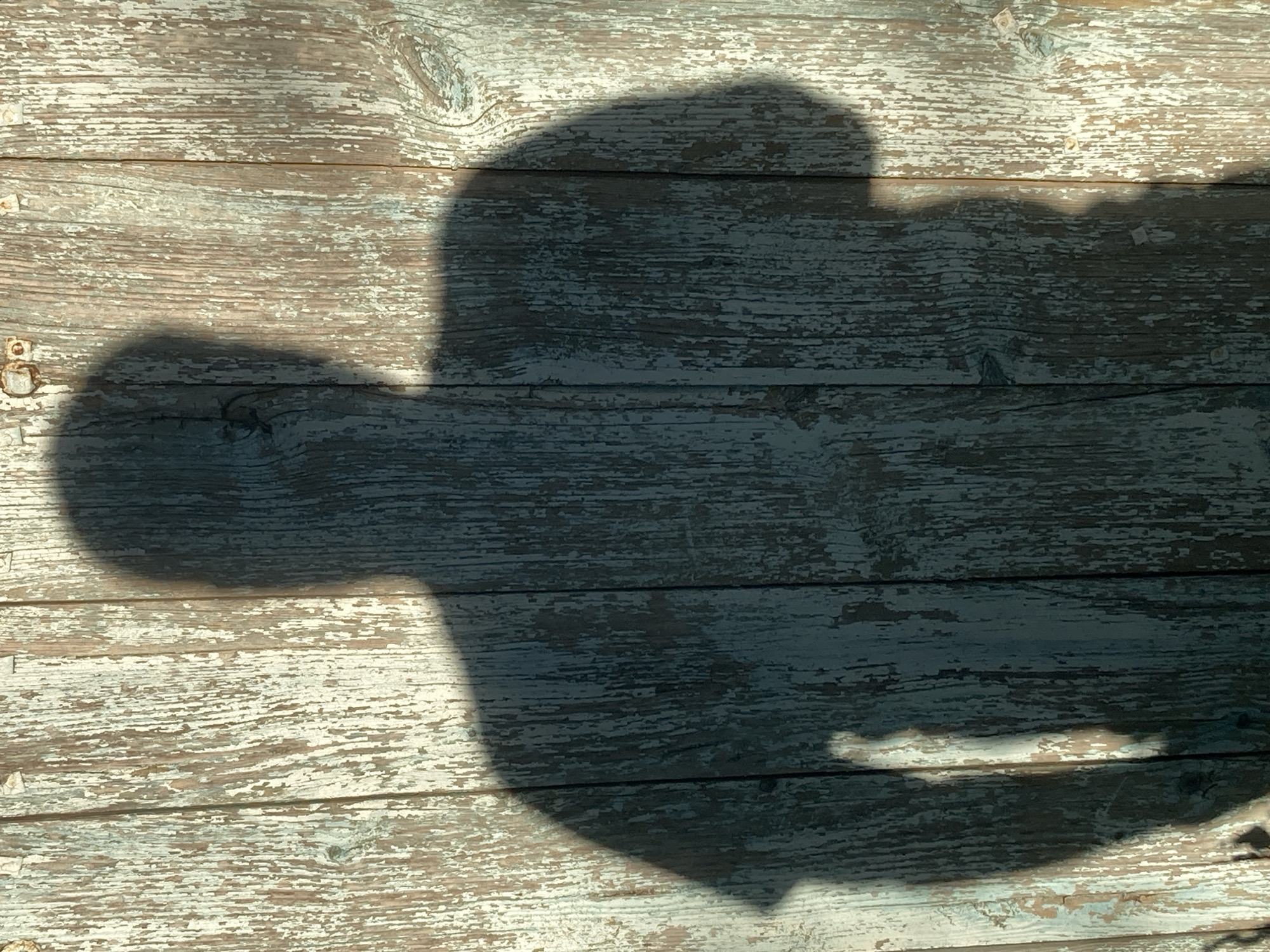 This media file is a photograph of a shadow cast on weathered wooden planks. The shadow depicts a human figure, possibly standing or sitting, with a distinct head, torso, and arm visible. The texture of the wood is rough, with peeling white and blue paint, suggesting it is an outdoor surface, possibly a wall or fence. The lighting indicates it is daytime, with a strong light source casting a sharp shadow, suggesting clear weather. The overall mood is somewhat abstract due to the focus on the shadow and the textured background. There is no visible text in the image. The location context provided is Ракиты, Russia, which, while not visually evident in the image itself, serves as contextual information for the scene.