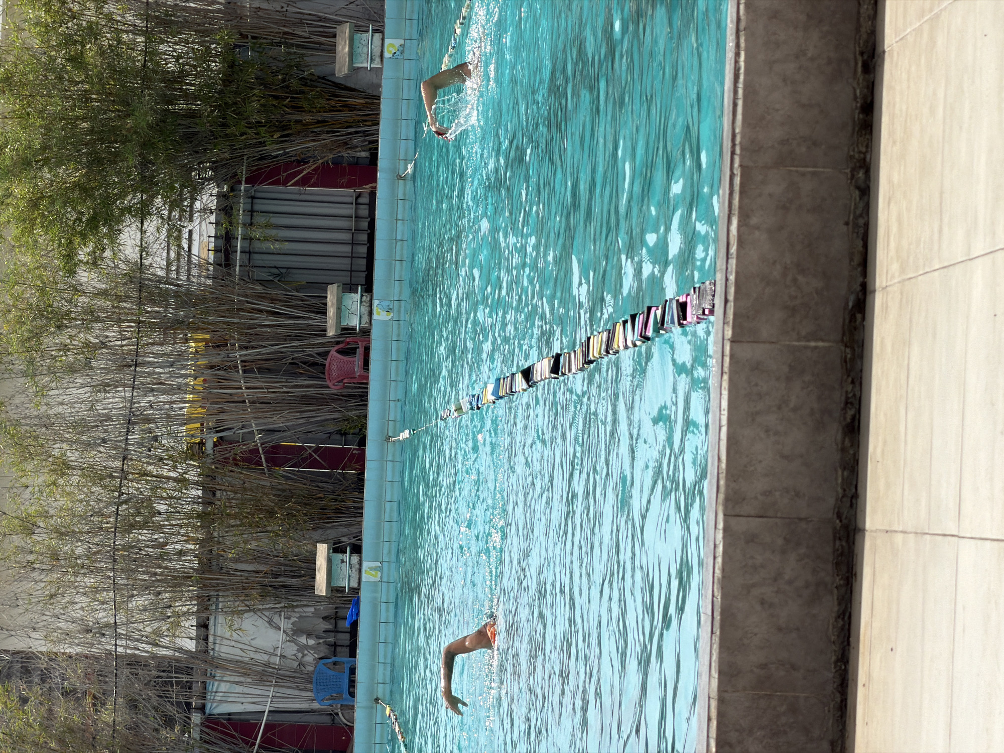 The image shows a swimming pool, likely located outdoors. The pool water is a light turquoise color with visible ripples. Lane dividers, constructed of black and pink floats, stretch across the pool's width. Two arms are visible in the water, each extending from the upper and lower halves of the frame, suggesting swimmers are present. The pool is bordered by gray-blue tiles on the near side and a light-colored patio-like surface on the far side.
A dense grouping of bamboo stalks lines one side of the pool, partially obscuring the view behind them. Elements visible behind the bamboo include a red-painted structure with horizontal bars, a gray corrugated surface, and a few chairs. The city of Nha Trang Ward, Vietnam, is mentioned as the location.