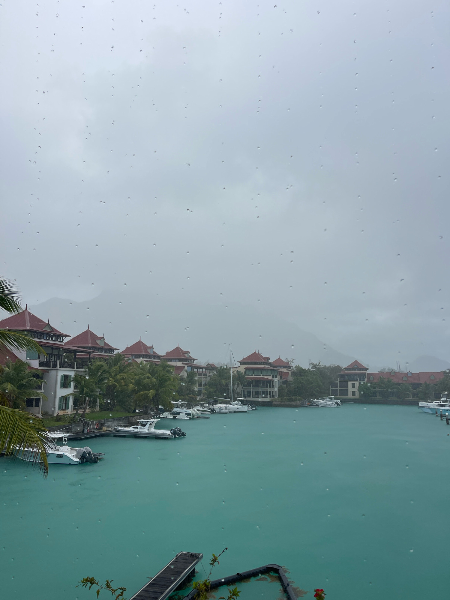 The image depicts a marina in Providence, Seychelles, on a cloudy and rainy day. The foreground is dominated by raindrops on a window pane, obscuring the view to some extent. Beyond the window, a serene turquoise body of water is visible, reflecting the overcast sky. Several white boats of various sizes are docked along the waterfront. Behind the boats, a row of buildings with distinctive red-tiled roofs and balconies lines the shore, interspersed with lush green palm trees. In the distance, a hazy mountain range is discernible against the muted sky. The overall atmosphere is tranquil, despite the rain, suggesting a peaceful, yet perhaps subdued, coastal setting.
