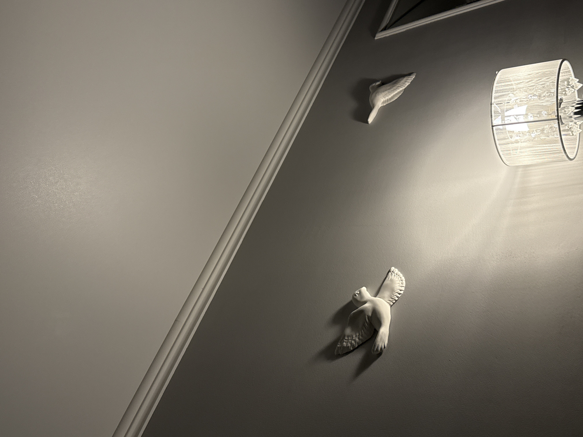 The image is a monochrome interior shot. A wall is divided into two sections by a diagonal trim; the left section is light gray and the right section is a darker gray. The upper-right portion of the image is illuminated by a cylindrical wall lamp. Two decorative bird sculptures, presumably made of plaster or a similar material, are attached to the darker gray wall. One bird is positioned higher and near the lamp, with only a single wing visible. The second bird is lower on the wall and appears to be in a flying pose. The location is Unknown, Unknown.