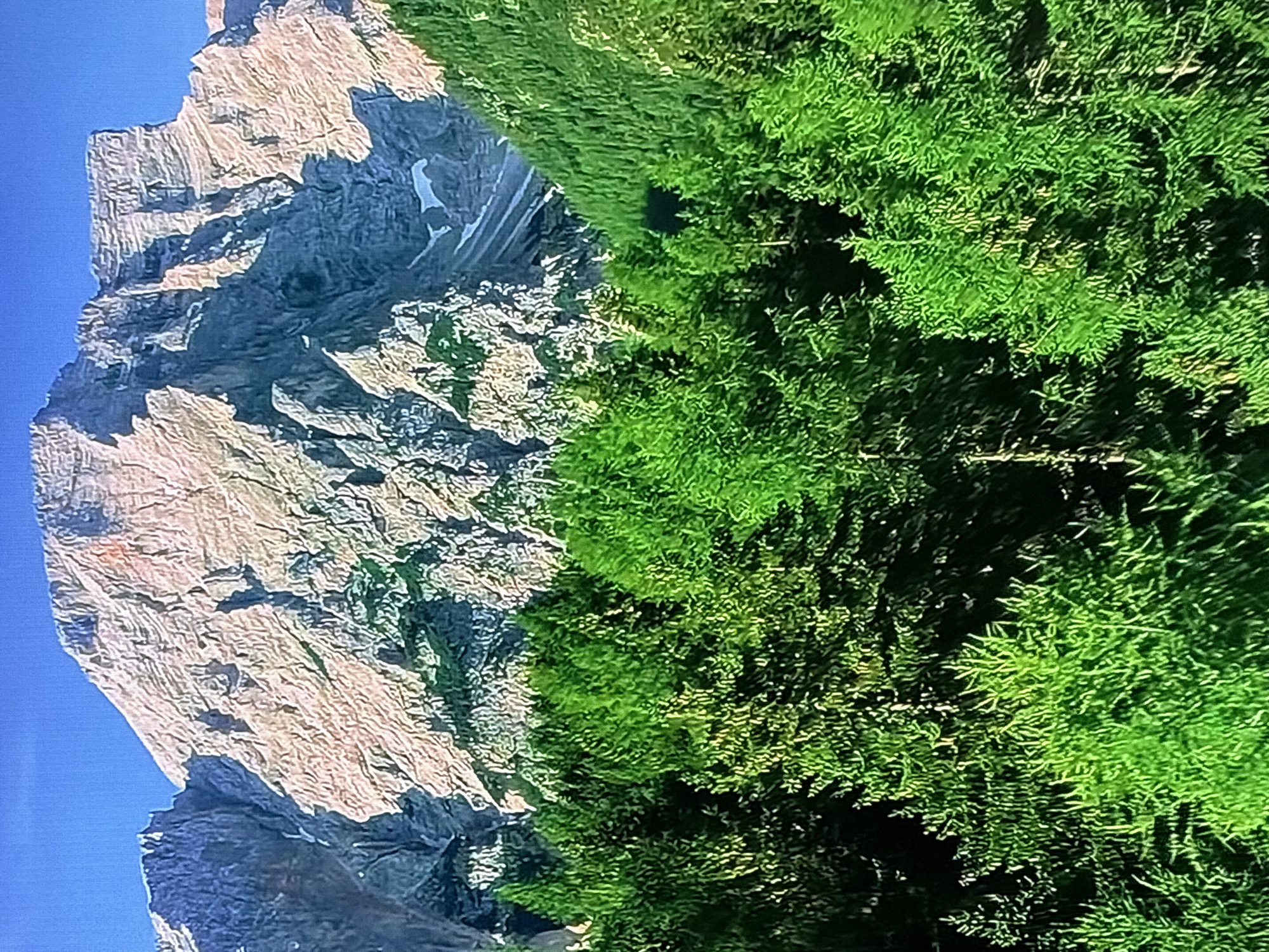 This is a photograph of a mountainous landscape with a dense forest in the foreground. The mountains are tall and rocky, with some patches of snow visible near the peaks. The sky is a clear blue. The forest consists of numerous evergreen trees, with their branches creating a textured canopy of various shades of green. The image depicts a natural environment, likely a wilderness area. This scene is not located in Krasnokamsk, Russia.
