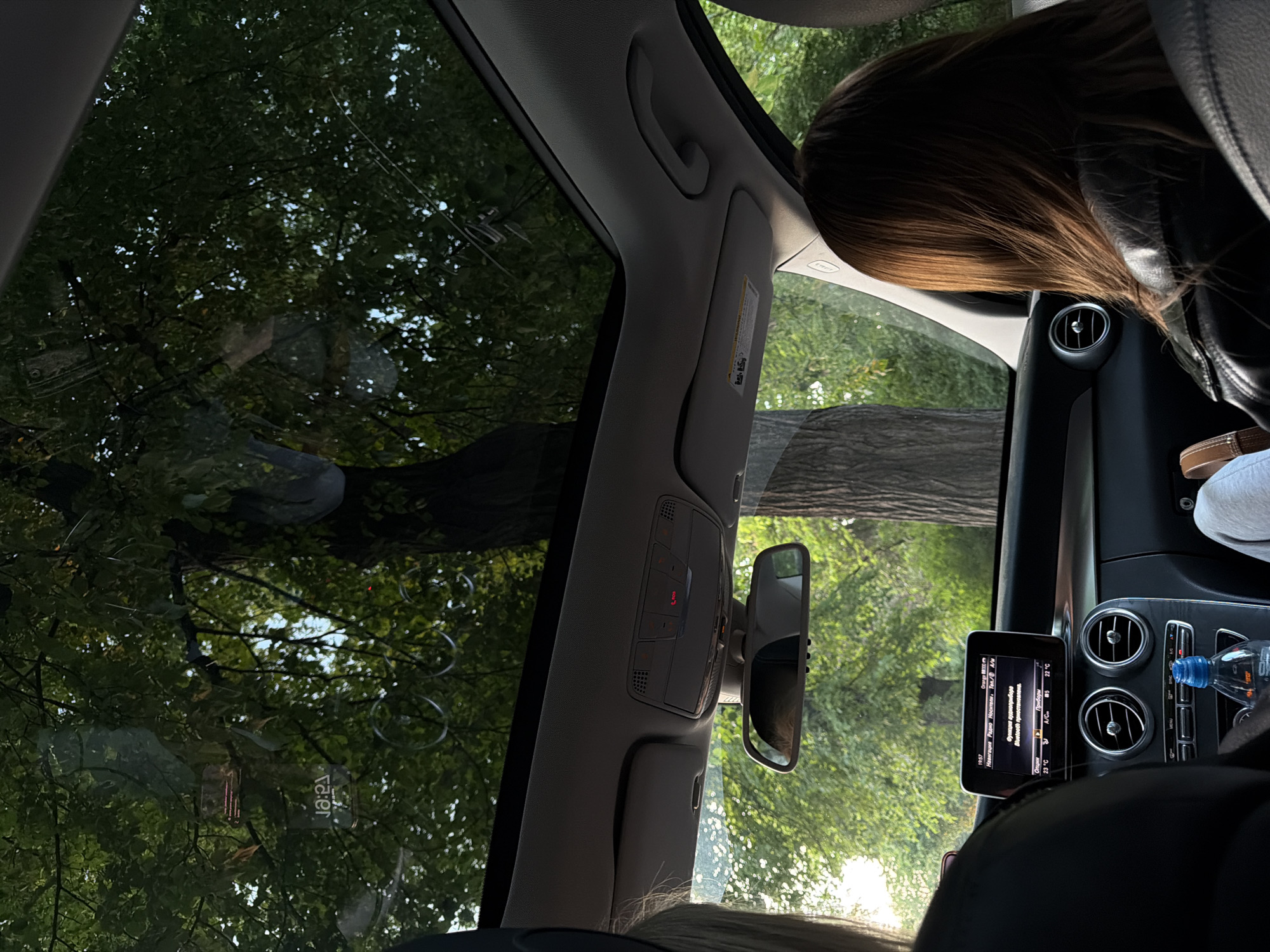 Here is a forensic description of the image. The view is from inside a car, looking out through the windshield and side windows. Trees are visible outside, their branches and leaves obscuring the view of the sky. Inside the car, the dashboard and infotainment system are visible. A person is in the passenger seat, seen from behind, wearing a black leather jacket. A water bottle is also on the dash. The reflection in the windshield suggests the car is parked in a wooded or leafy area.