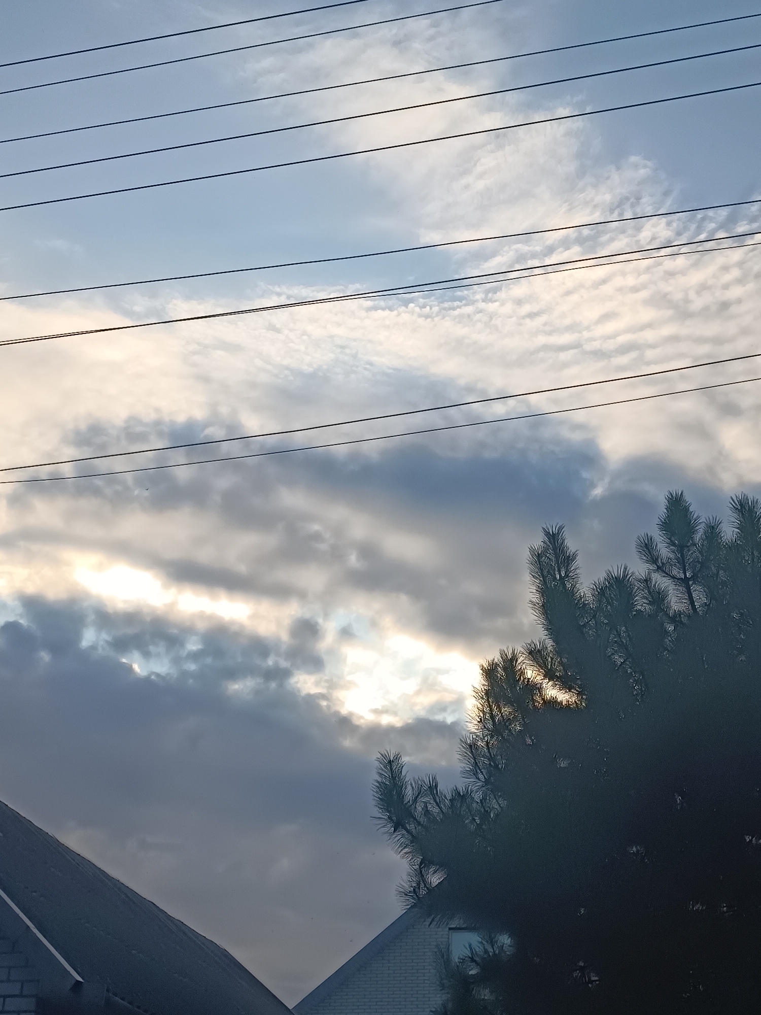 The image captures a cloudy sky over a residential area, likely in Zaporizhzhia, Ukraine. Several power lines crisscross the frame horizontally, dividing the sky into sections. The sky is filled with a mix of light and dark clouds, with patches of sunlight breaking through, suggesting either sunrise or sunset. A tall, dark green pine tree is visible on the right side of the image, its branches obscuring some of the sky. In the foreground, the dark roofs of two houses are visible, one with a sloped, dark gray surface and the other with a lighter, peaked roof. The overall mood is somewhat subdued, likely due to the overcast conditions. No people or text are visible in the image.