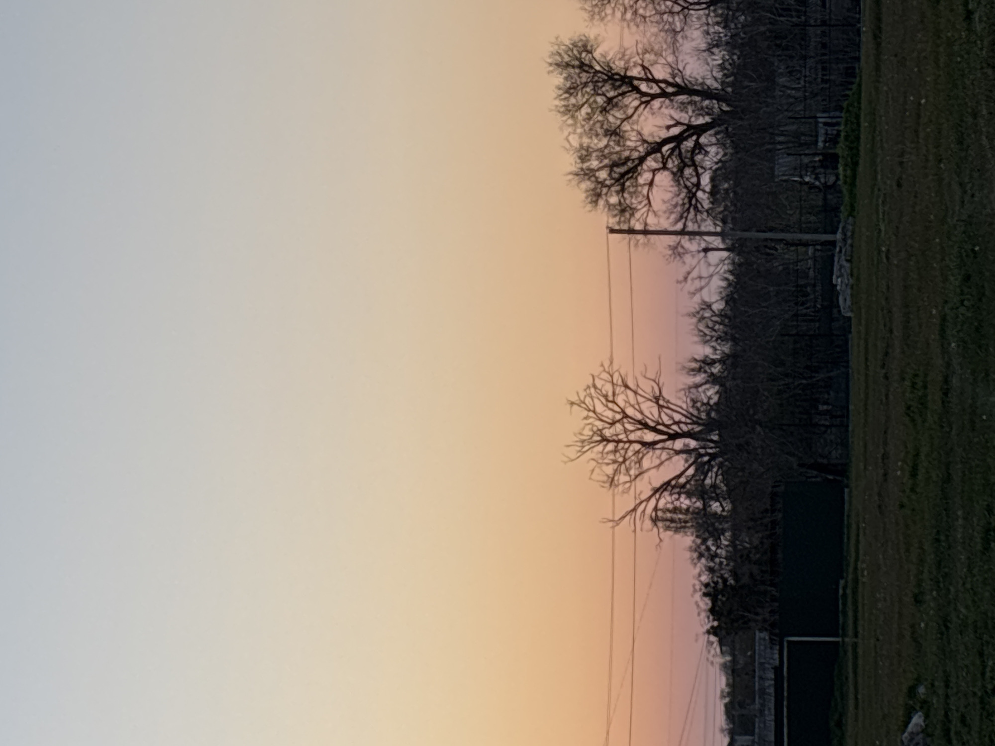 The image depicts a landscape at dusk or dawn. The sky transitions from a pale blue-grey on the left to shades of orange and pink towards the right. Silhouetted trees, devoid of leaves, stand against the sky. Power lines are visible. To the right, there's an area with green grass and what appears to be a fence and a structure. The image appears to be taken outdoors, likely in a rural or suburban area, in Chornomorskoe, Ukraine. There are no people or animals visible in the frame.