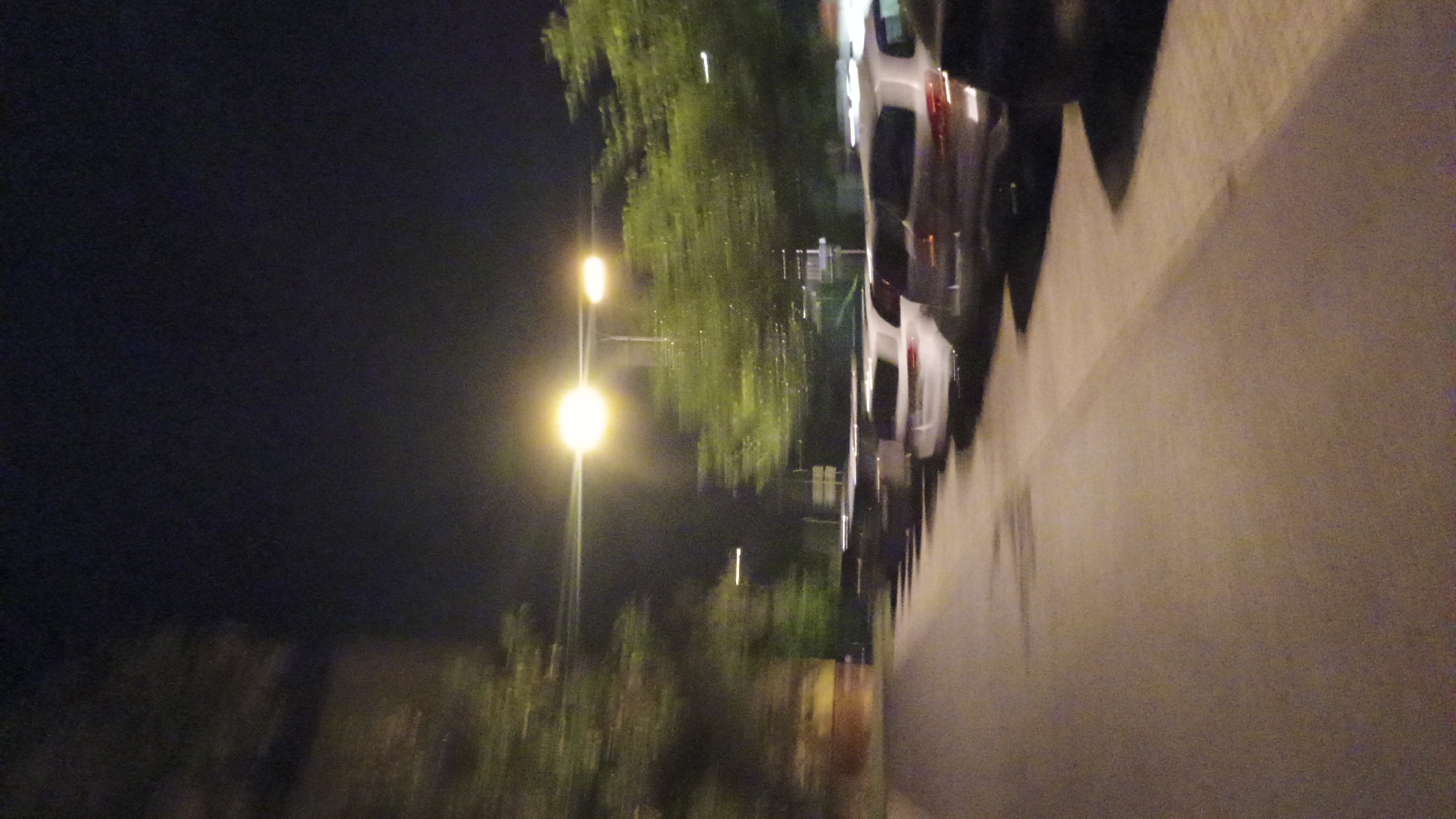 The image depicts a street scene at night, likely in an urban or suburban area. A row of parked cars is visible along the right side of the road. The cars are of various models and colors, including white and darker shades. The road surface appears to be asphalt, and there are some reflections on the wet surface, suggesting it may have rained recently. Trees line the left side of the street, and their leaves are blurred due to motion blur, indicating either movement of the camera or wind. A street light illuminates the scene with a bright yellow glow, and another light is visible further down the street. The sky is dark and appears to be clear. The overall impression is of a quiet street at night. The location is identified as Sokolov, Czechia.