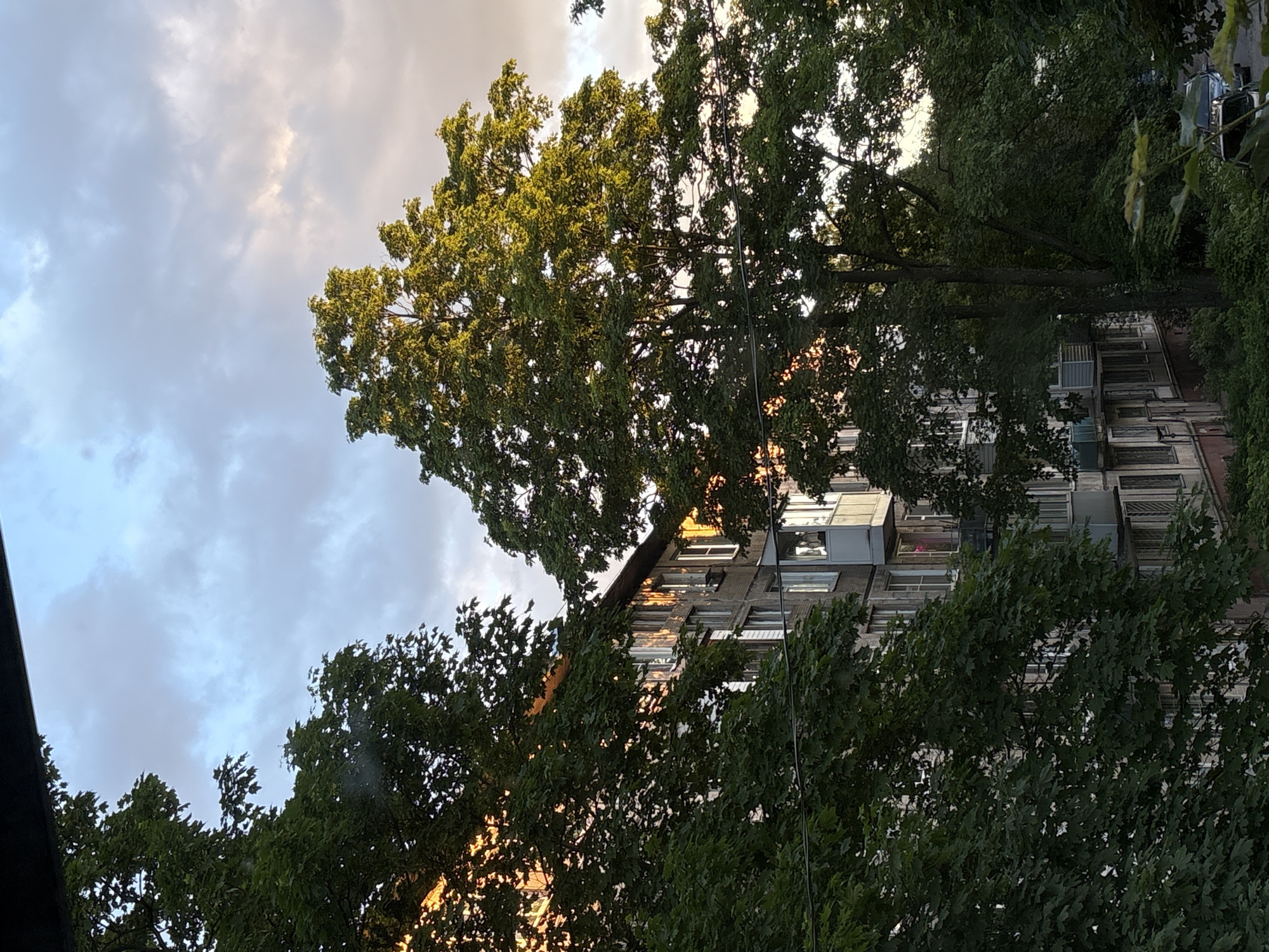 The image depicts a residential building in Saint Petersburg, Russia, framed by lush green trees. The building appears to be an apartment block, constructed from concrete and brick, with multiple stories and balconies. The windows are rectangular, and some balconies are enclosed with glass. The facade of the building shows signs of wear, with weathered concrete and muted colors.
Sunlight streams through the leaves of the trees, casting a warm glow on the building's windows and balconies, indicating it is either sunrise or sunset. The sky above is a mix of blue and grey clouds, with hints of warmer hues suggesting the sun's position. The trees are full of dense foliage, with the leaves of the larger trees prominently featured in the foreground. Some power lines are visible, strung between poles or buildings, a common sight in urban environments.
In the lower right portion of the image, a few cars are parked along the street, partially obscured by the trees and foliage. The presence of parked vehicles suggests an active residential area. The overall impression is one of a typical urban scene in Saint Petersburg, where nature intertwines with the built environment.