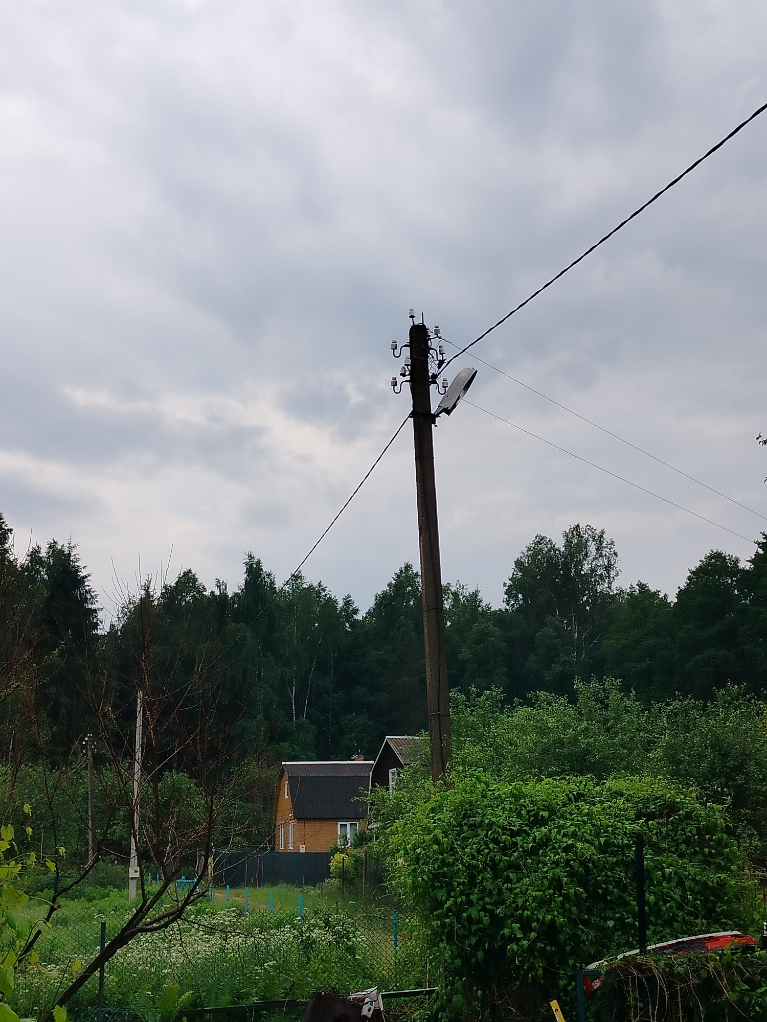 The image depicts a rural outdoor scene under a cloudy sky. In the foreground, a bare tree with dark branches is positioned on the left, partially obscuring a chain-link fence that encloses a garden area with abundant green foliage and scattered white wildflowers.
A wooden utility pole stands prominently in the middle ground, supporting a power line and a street lamp fixture attached to the side. This pole is situated in front of a dense line of dark green trees that forms the background. To the left of the utility pole, another, slimmer pole is visible.
Further to the right, a small, yellow-sided house with a dark roof is partially visible, set back from the fence. Beyond the house and the utility pole, more lush green trees and vegetation create a thick, natural landscape. The overall impression is one of a somewhat overgrown, tranquil, and undeveloped setting, likely in a rural area of Дзешчанскі сельскі Савет, Belarus. There are no people or animals visible in the image.