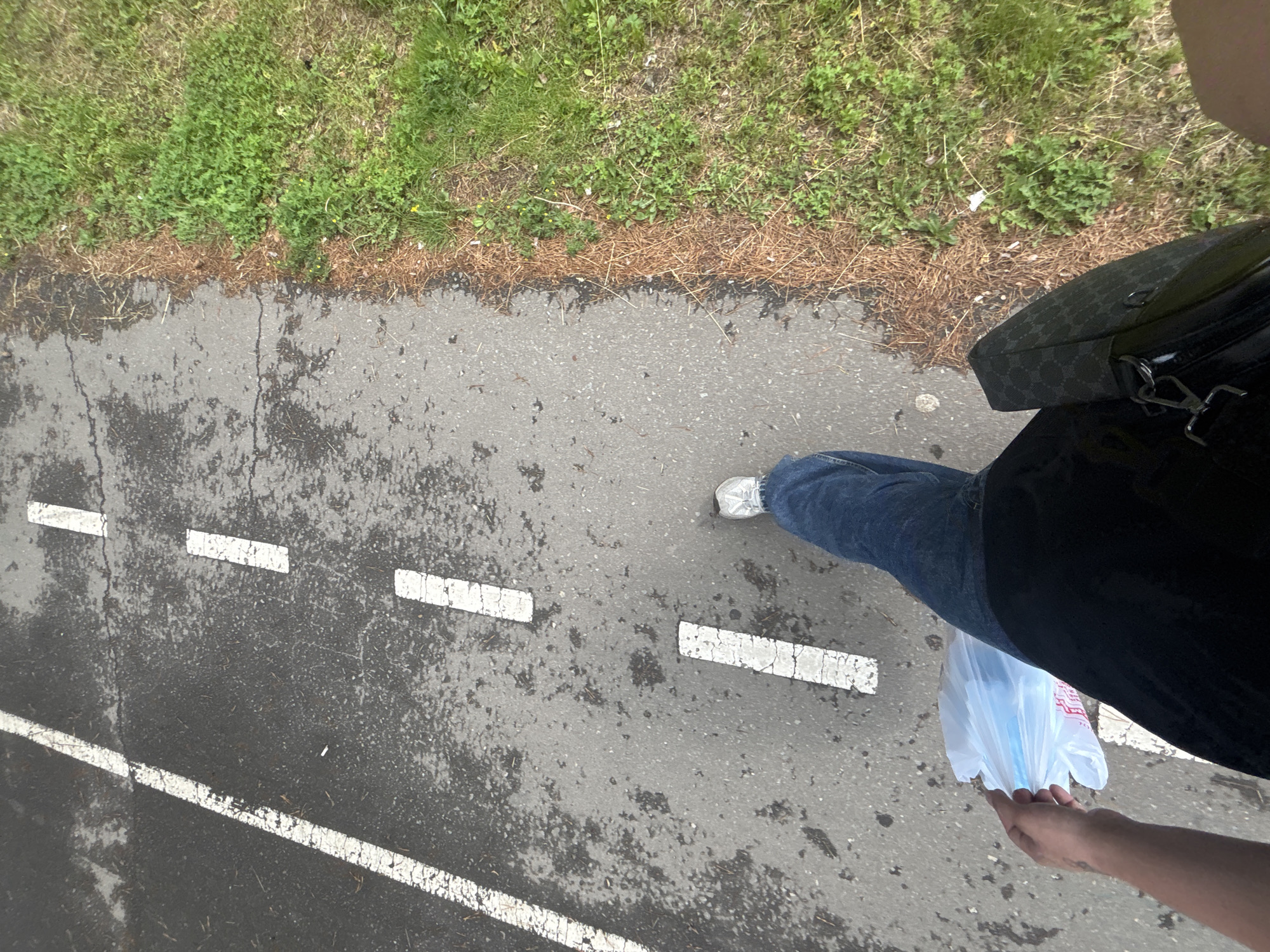 The image shows a first-person perspective of a person walking on a paved path with white dashed lines. The path is next to a grassy area with some dry pine needles. The person is wearing blue jeans and white sneakers. They are carrying a white plastic bag in their left hand and a dark patterned bag over their right shoulder. The scene appears to be outdoors in a park or recreational area. There is no specific indication of the location being in Birobidzhan, Russia, or any other specific city.