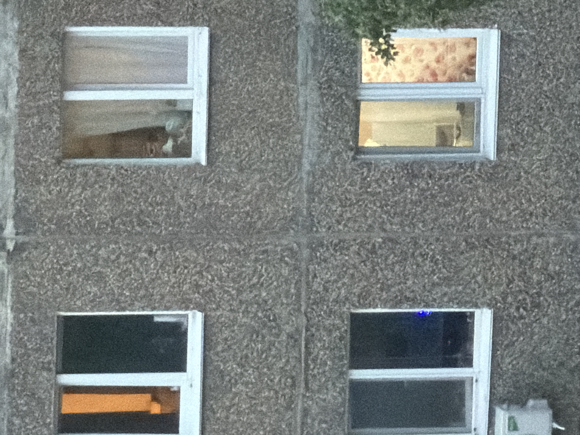 The image shows a section of a building facade featuring four windows. The building appears to be constructed from a rough, aggregate material. The windows are arranged in a two-by-two grid. The upper left window contains an indiscernible figure, possibly a person or object. The upper right window has a floral patterned curtain visible, with a partially visible interior, possibly a shelf. The lower left window is dark but has an orange rectangle visible in its lower pane, which may be part of a furniture or object. The lower right window is dark, revealing a blue LED light on its top edge and some blurry reflections; a ventilation object is placed in front of it. The location appears to be Unknown, Unknown. There are no evident actions or interactions. The environment is urban, given the building structure.