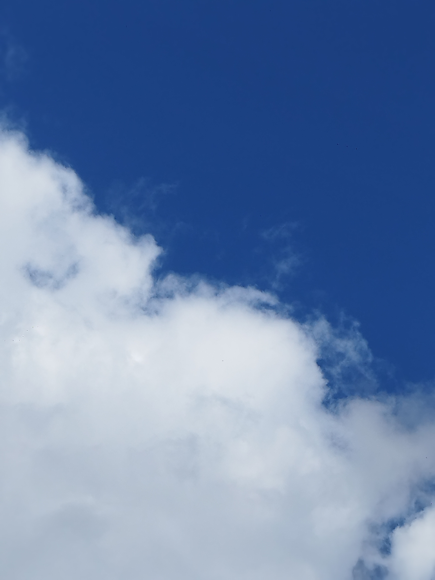 This is a sky photograph with a bright blue sky and scattered white clouds. There are no discernible buildings, landmarks, or geographical features visible that would allow for identification of a specific location within Surgut, Russia. The image appears to be a general shot of the sky on a clear day.