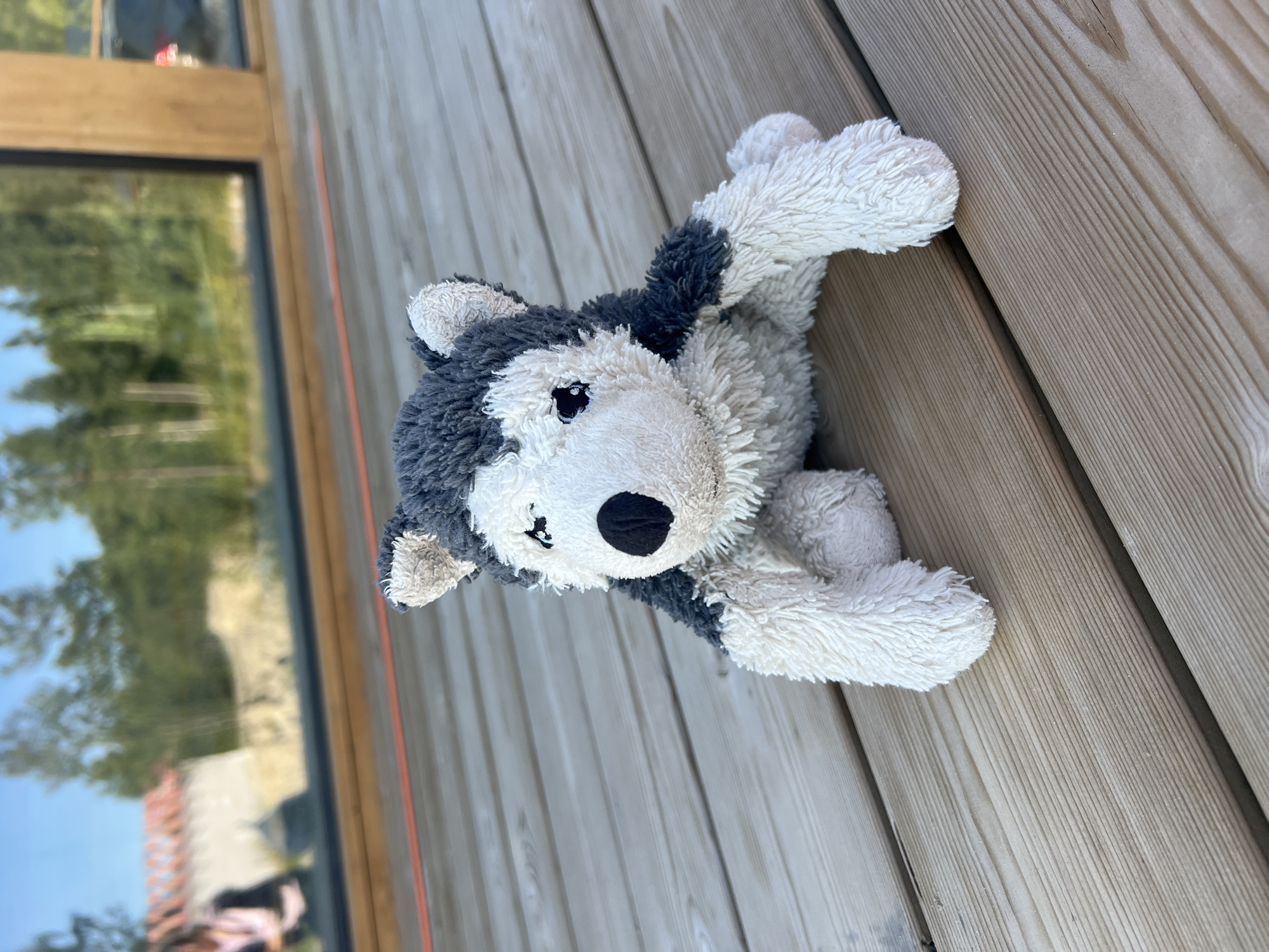 A stuffed husky dog toy is lying on a wooden deck. The toy has grey and white fur and black eyes and nose. In the background, there is a large window with a reflection of trees and a building. A person can be seen in the reflection of the window. The scene appears to be outdoors. The wooden deck is made of light-colored planks.