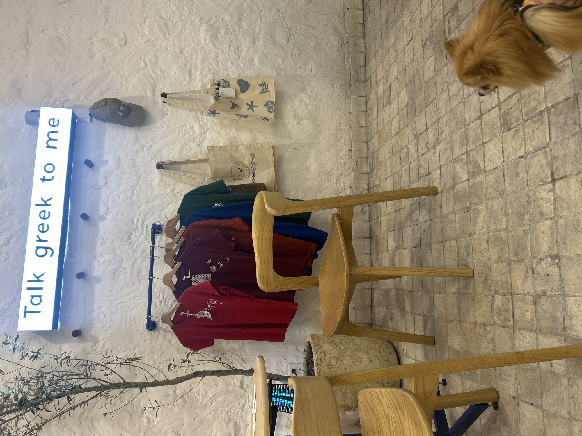 The image shows the interior of a shop with various items for sale. A neon sign that reads "Talk greek to me" is attached to the wall. Next to it, a baseball cap sits atop a white wall. A row of canvas tote bags hangs above a rack of t-shirts, displayed in various colors. Two light wooden chairs are positioned in the center of the scene. A small dog can be seen in the upper right corner. The floor is tiled. The scene is located in San Bernardino Tlaxcalancingo, Mexico.