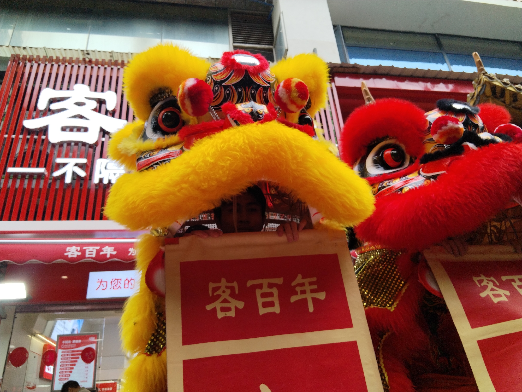 The image captures a vibrant scene in what appears to be the Yuzhong District of China, featuring a traditional Chinese lion dance performance. Two elaborately decorated lion costumes, one predominantly yellow and the other red, dominate the foreground. The performers inside the costumes are partially visible, holding signs with Chinese characters. The background includes storefronts with signs in Chinese, suggesting a commercial area. The red and white lettering on the storefronts indicates the potential name of the establishment. The overall composition and context strongly imply a cultural celebration or festival.