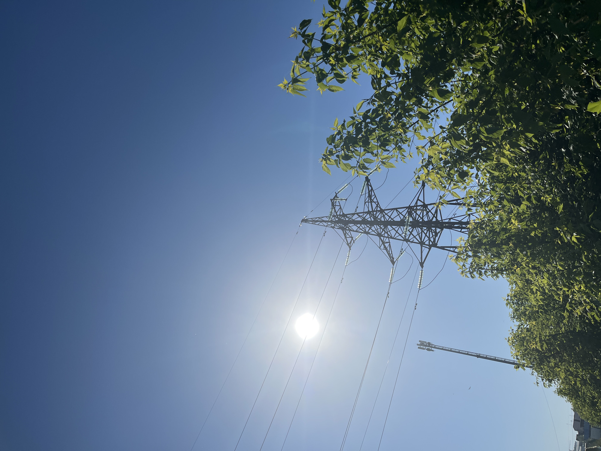 The image, likely taken in Chaikovsky, Russia, shows a bright, sunny sky with an electrical transmission tower dominating the central area. Power lines stretch downwards from the tower. The sun's glare is significant, positioned behind the power lines. Green foliage from trees is visible along the top and right edges of the frame. In the lower right, part of a crane is visible.