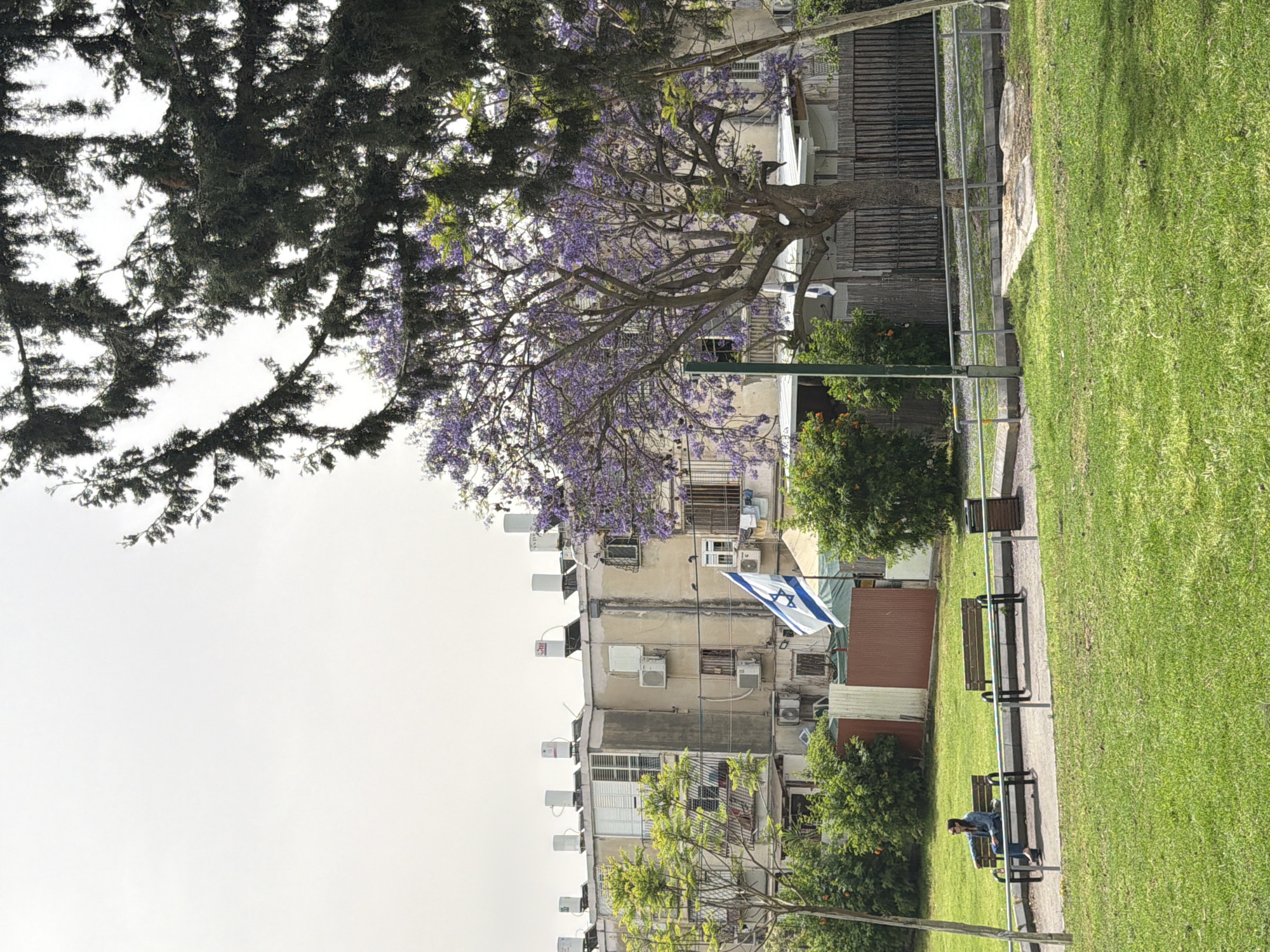 The image depicts a park scene in Bat Yam, Israel. In the foreground, there is a green lawn with a pathway lined with benches. A person is sitting on one of the benches. Behind the park area, there is an apartment building with multiple air conditioning units on its facade. The Israeli flag hangs from one of the apartments. Trees with purple blossoms are visible in the image. The sky is overcast and white.