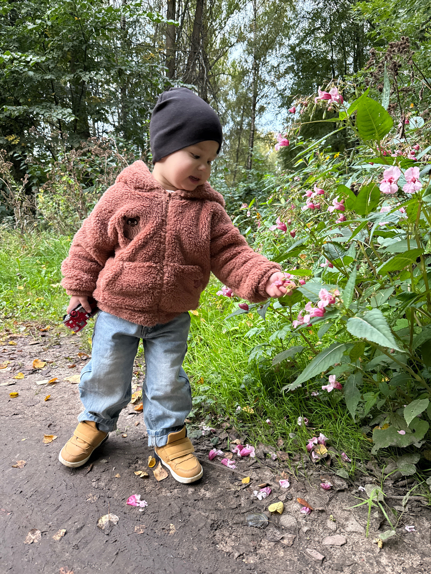 In Rusanovo, Russia, a young child wearing a black beanie, a brown fuzzy hooded jacket, and light blue jeans is standing on a dirt path surrounded by greenery and trees. The child is reaching out to touch pink flowers growing on a bush to their right, holding a small red toy in their left hand. The ground is littered with fallen leaves and petals, and the background consists of dense foliage and tall trees, suggesting an outdoor, possibly wooded, environment.
