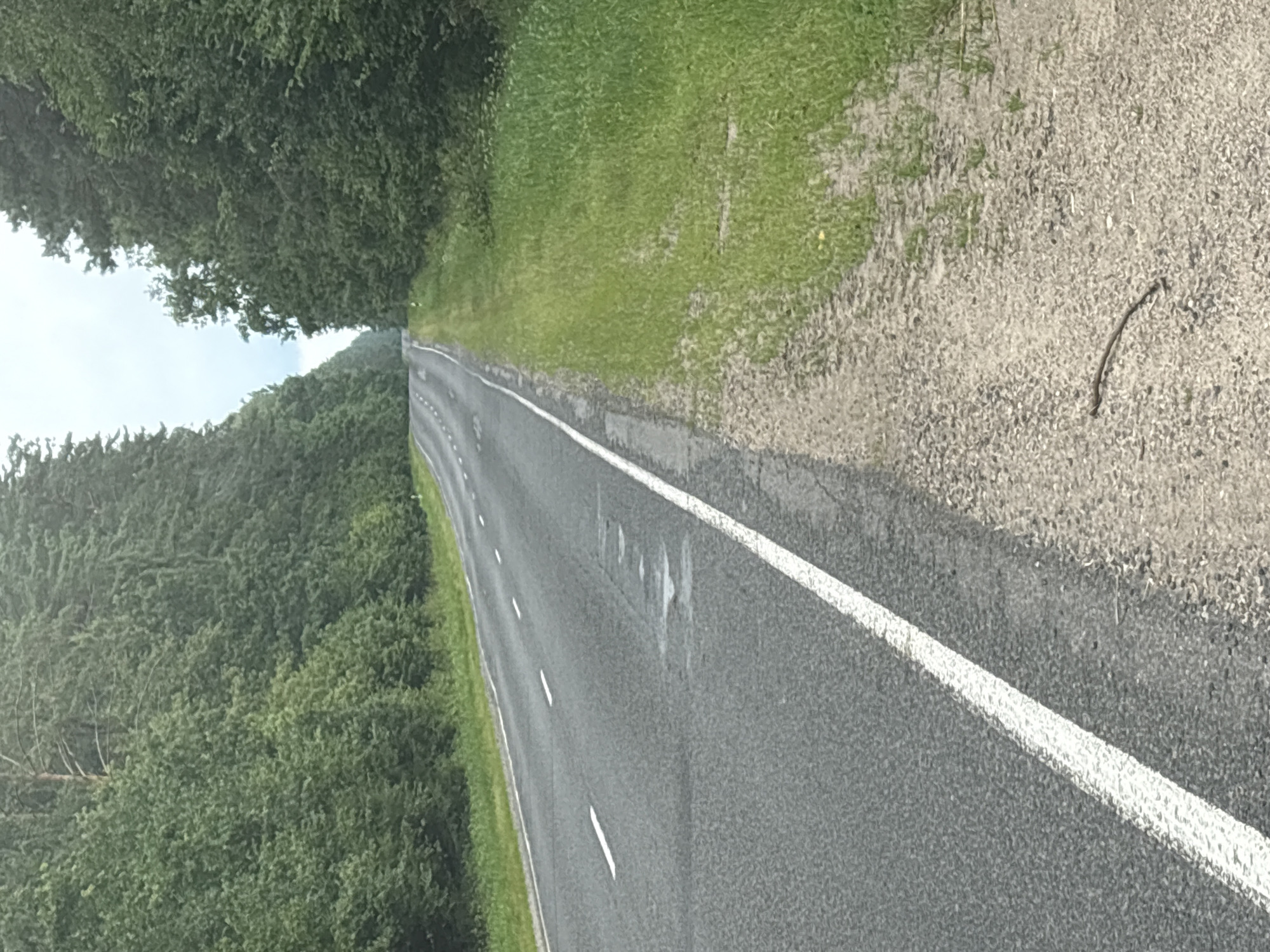 A paved two-lane road curves gently through a dense forest on a cloudy day. The road is marked with a white line on the left and a dashed white line on the right. The left side of the road is lined with lush green trees, and the right side features a grassy shoulder with a few scattered twigs. The sky is overcast, creating a subdued light. A single twig lies on the gravel shoulder near the bottom right of the image. The scene appears to be located in the vicinity of Уселюбскі сельскі Савет, Belarus.