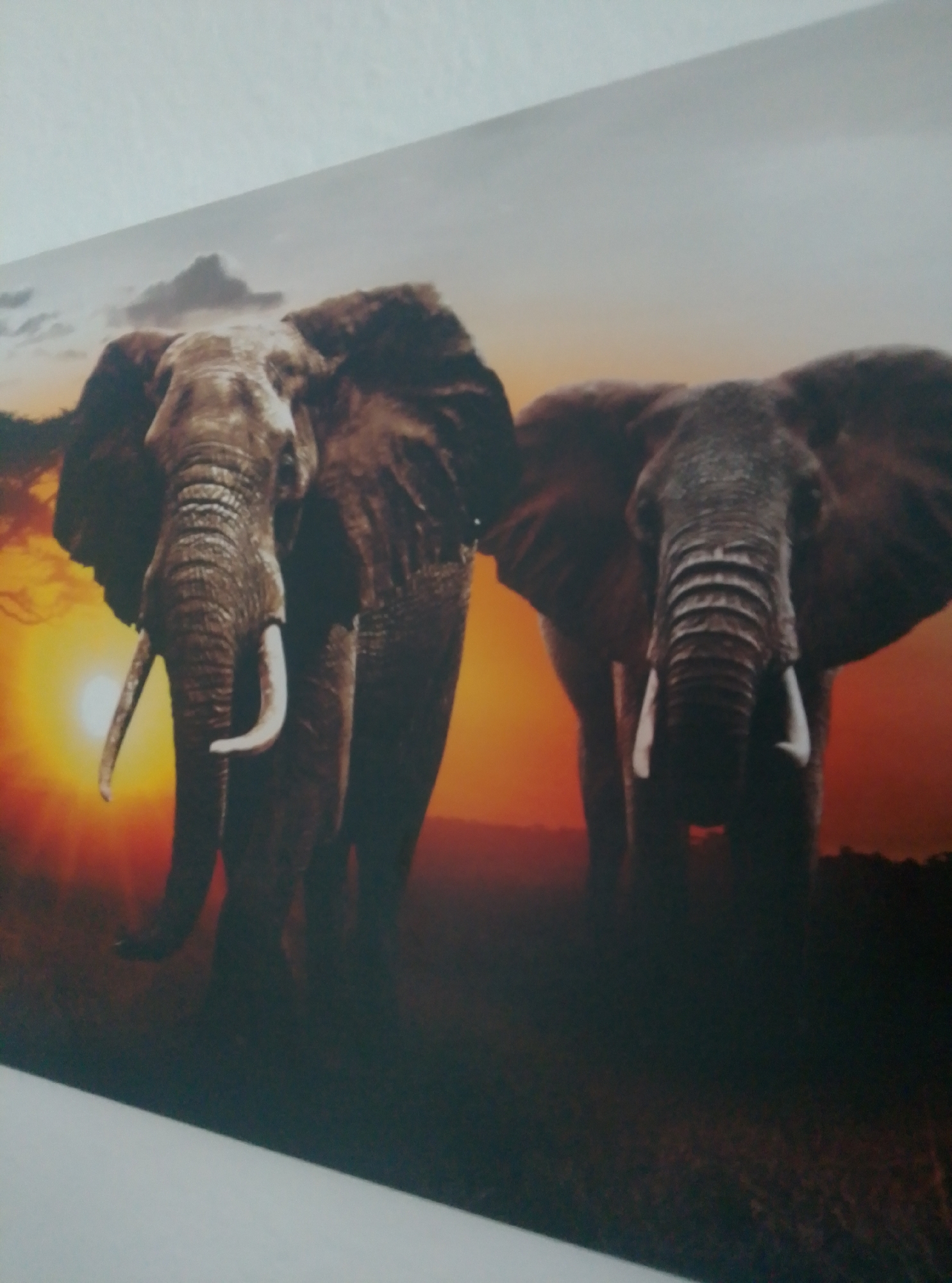 The image shows a close-up of a painting or photograph depicting two elephants in profile against a vibrant sunset. The elephant on the left is larger and more in focus, with its trunk curved downwards and its tusks clearly visible. The elephant on the right is slightly smaller and further back, with its trunk also lowered. The background features a dramatic orange and yellow sunset with dark clouds and silhouetted trees or vegetation. The overall scene evokes a sense of the African savanna. The image itself is a photograph of this artwork, with a portion of a white wall visible in the foreground and upper portion of the frame, indicating it is likely displayed on a wall. There is no indication of the city of Wedel, Germany within the image content itself.