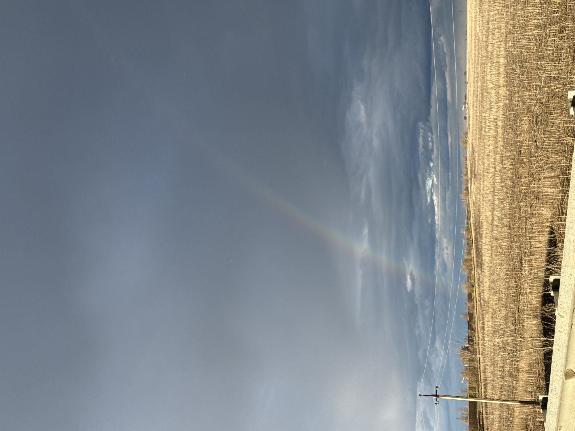 A landscape photograph, oriented vertically, shows a rural scene likely taken in Pesochnyi, Russia. A field of harvested crops, characterized by brown, densely packed stalks, occupies the right portion of the frame. Power lines run horizontally across the scene, connecting to a utility pole in the lower center. A vibrant rainbow arcs through the sky on the left side of the image, contrasting with the predominantly blue sky. A guard rail is partially visible on the right, indicating the vantage point might be from a road. The sky exhibits varied cloud formations ranging from wispy cirrus to more dense, overcast areas.