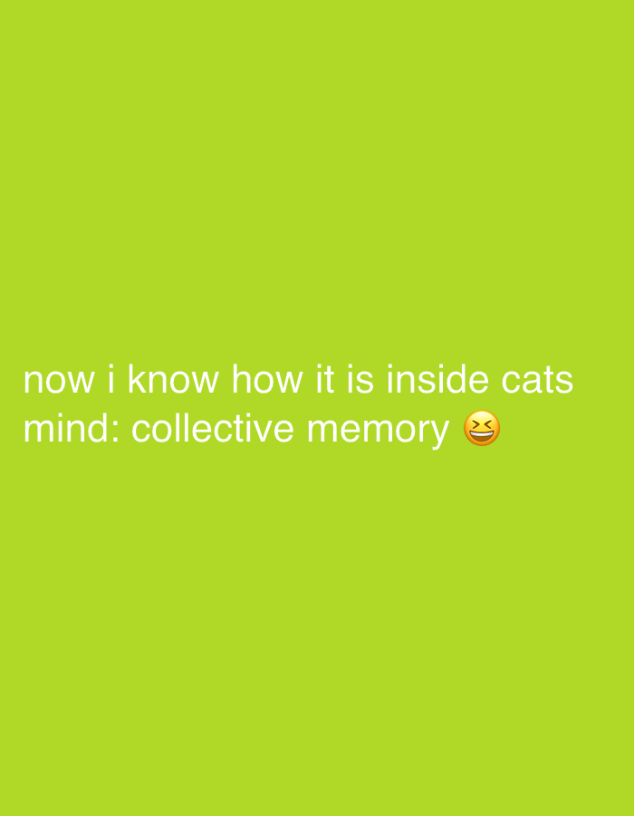 The image displays white text centered on a solid, vibrant lime green background. The text reads, "now i know how it is inside cats mind: collective memory," followed by a laughing-crying emoji (😂). The emoji is depicted in its standard yellow and red hues. There are no other subjects, objects, or discernible scenes in the image. The plain background and clear text suggest a digital graphic or meme. The visible emoji indicates a tone of humor or amusement associated with the statement about cats' minds.